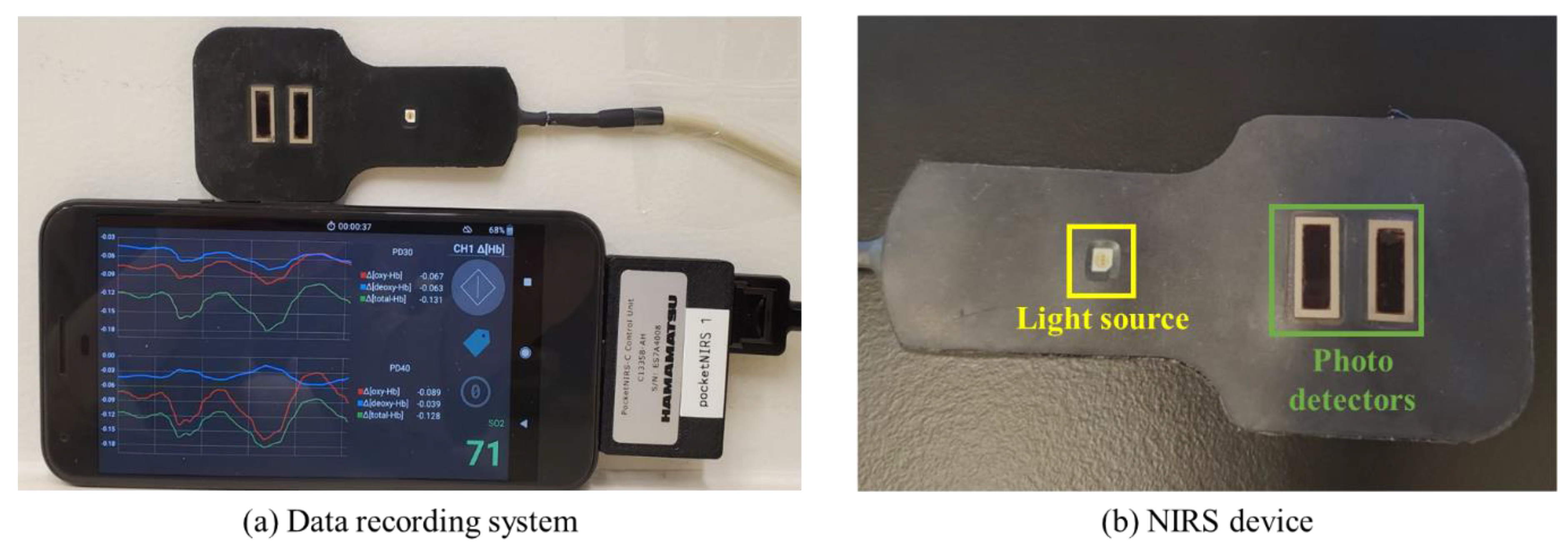 Bioengineering 11 00709 g001