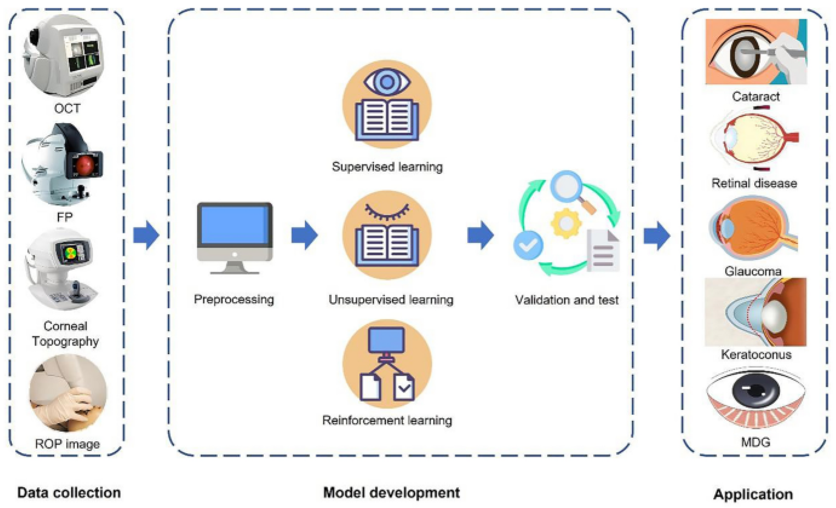Bioengineering 11 00711 g001