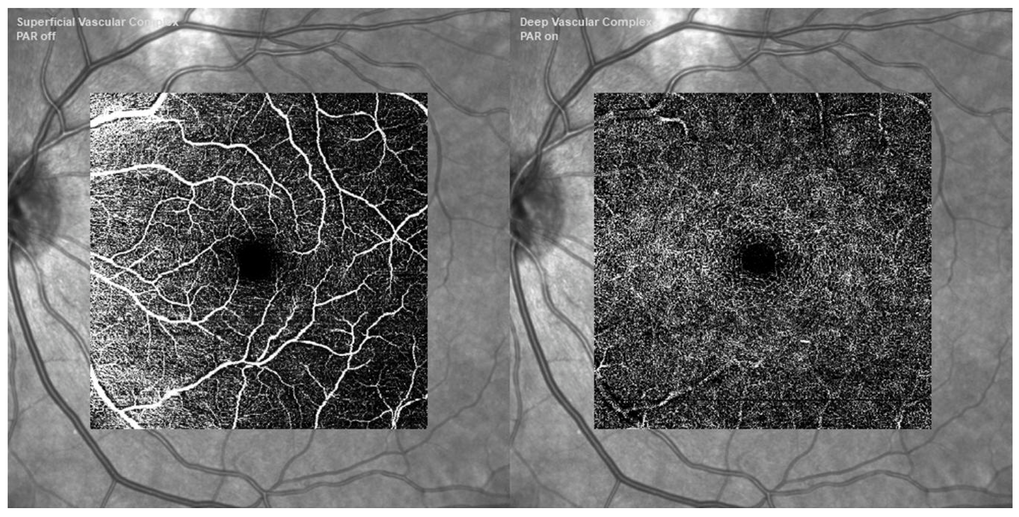Bioengineering 11 00711 g005