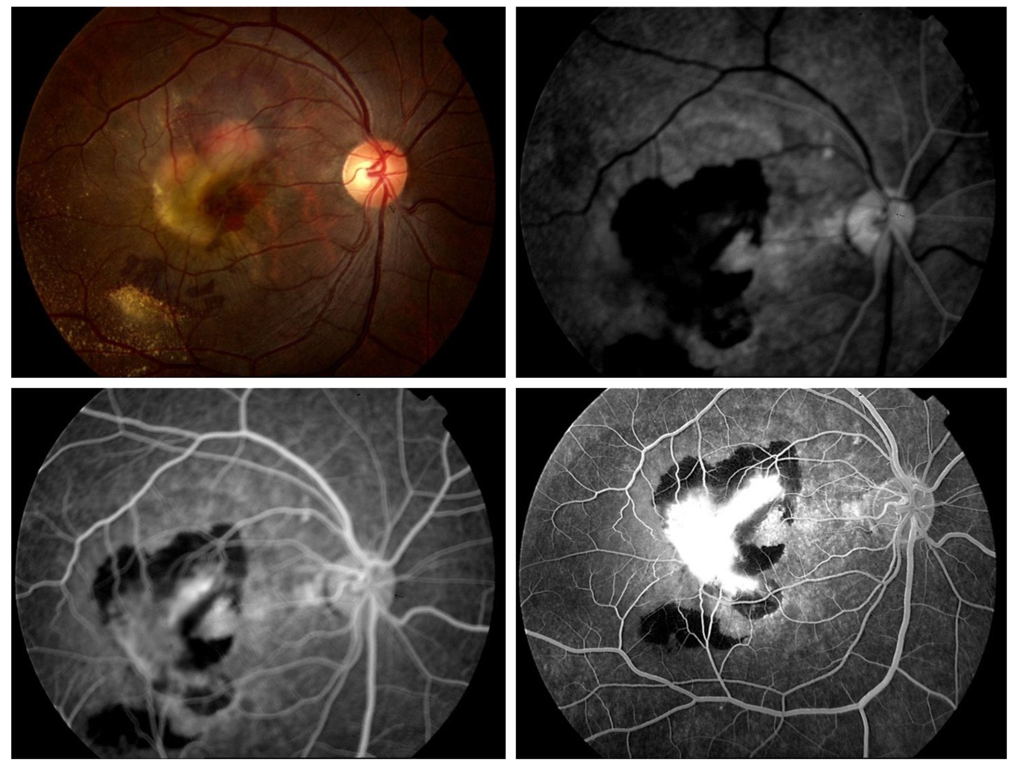 Bioengineering 11 00711 g006