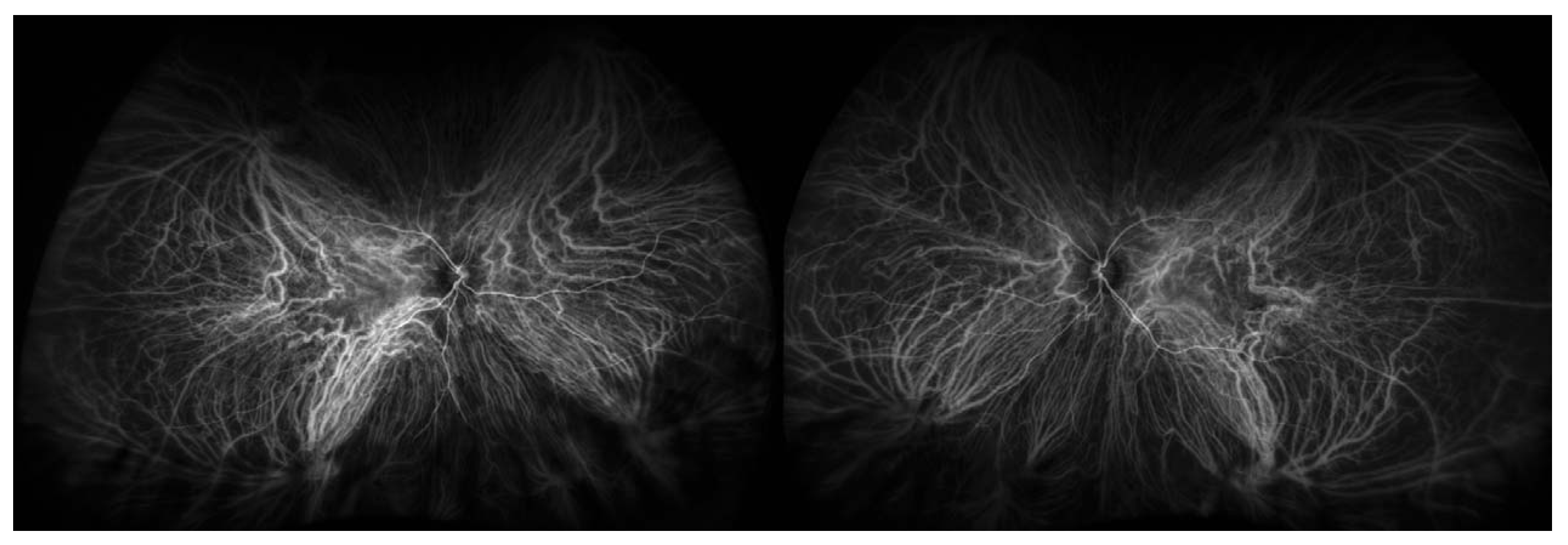 Bioengineering 11 00711 g007