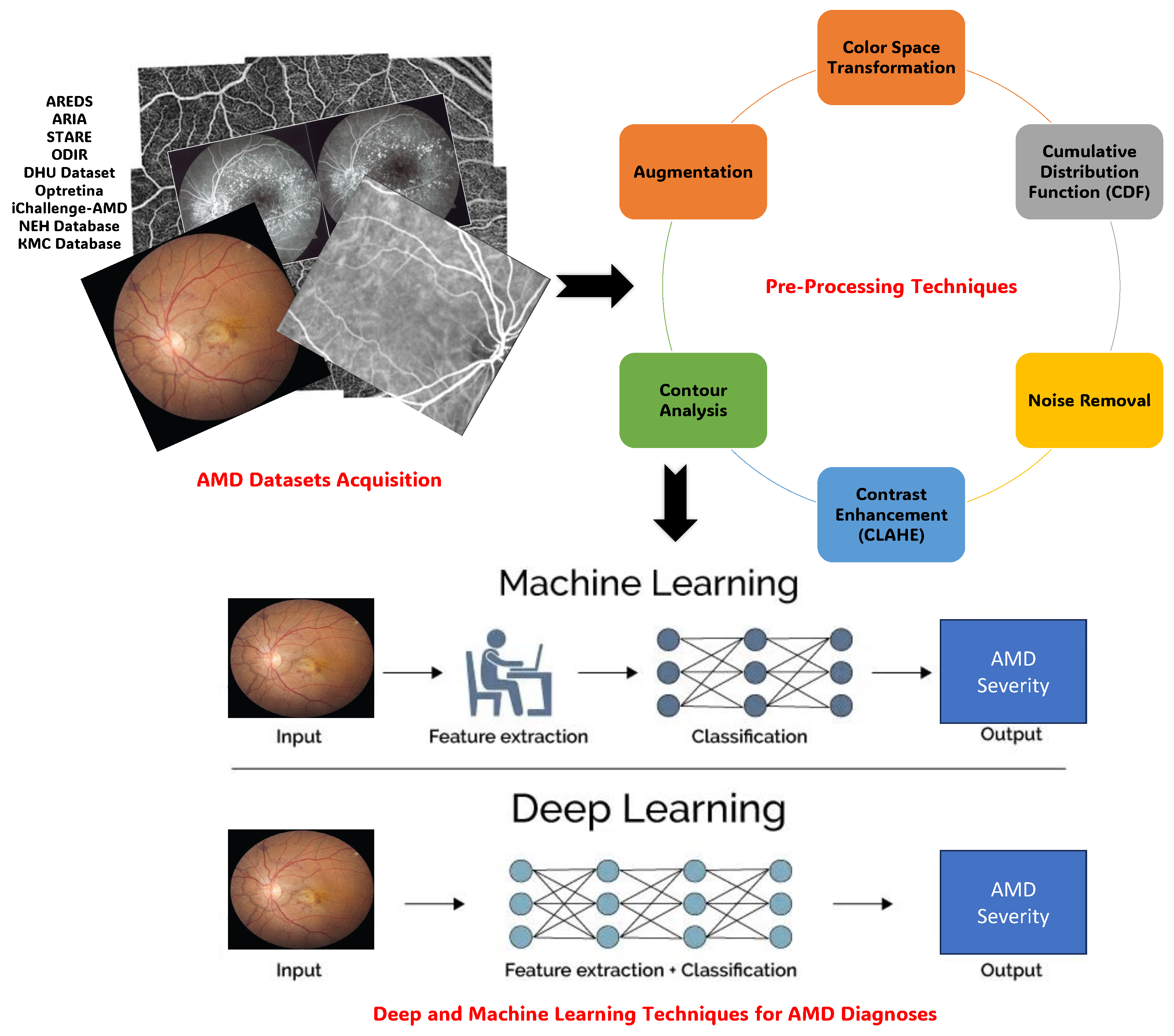 Bioengineering 11 00711 g008