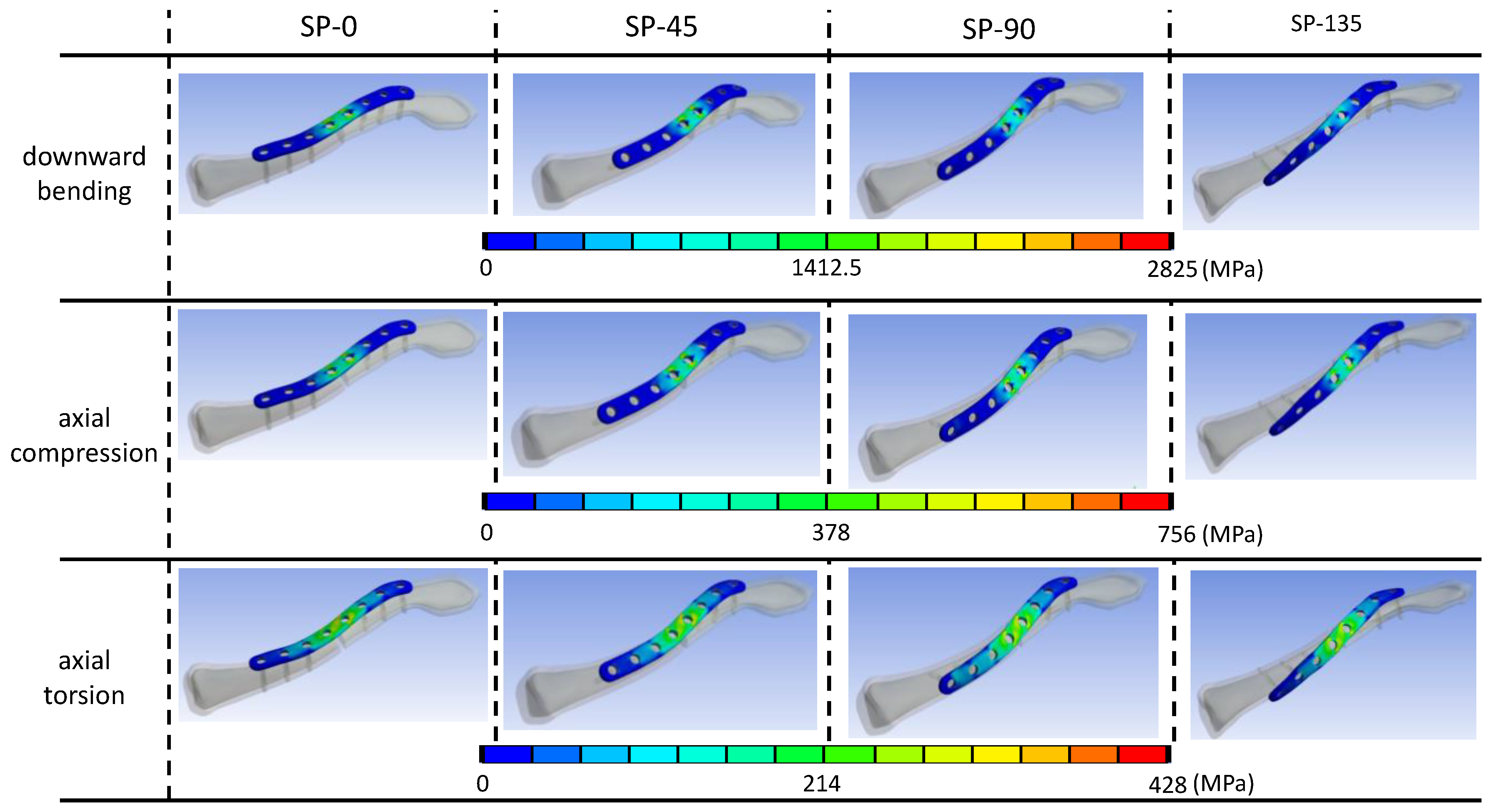 Bioengineering 11 00713 g006 Bioengineering 11 00713 g006