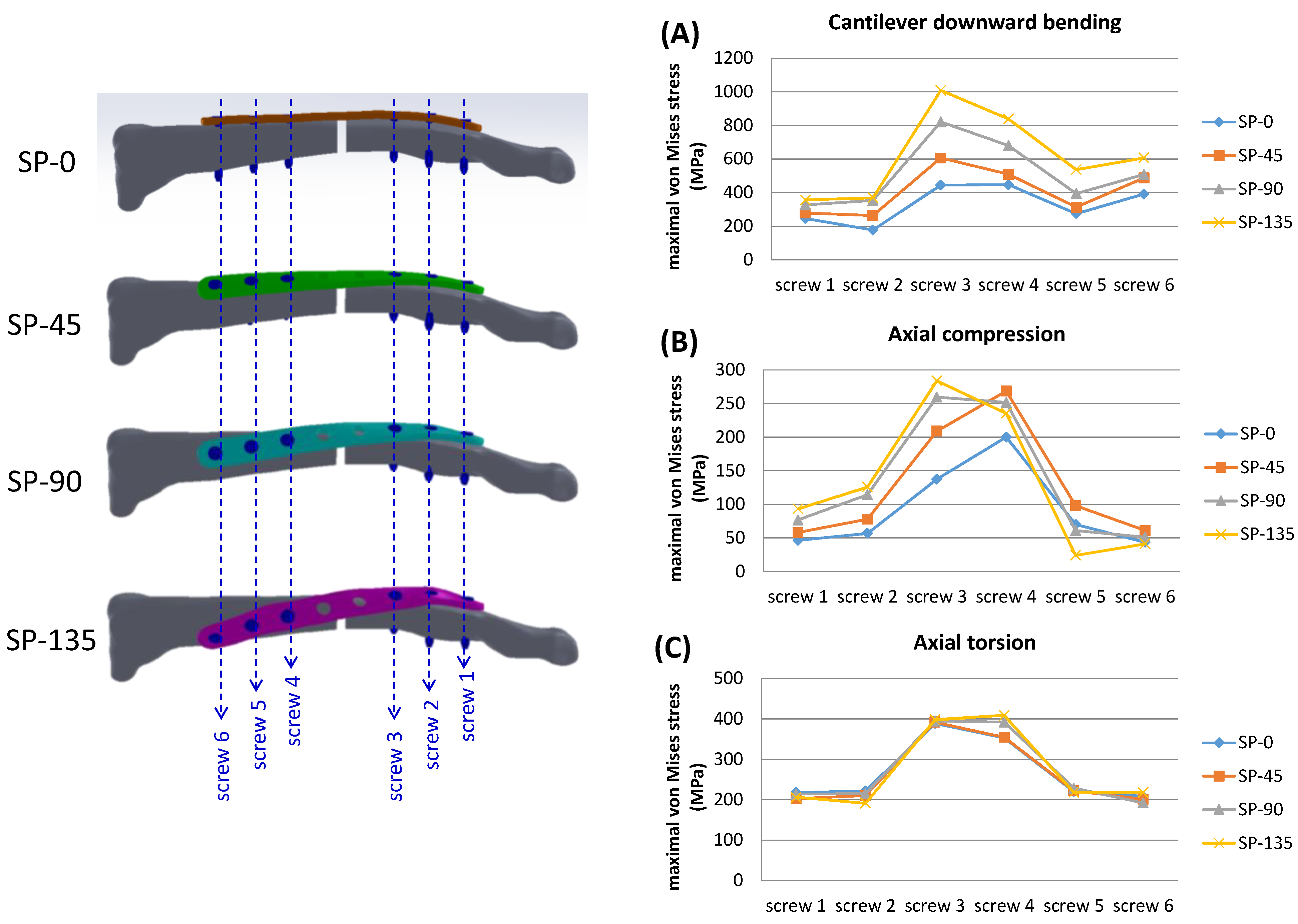 Bioengineering 11 00713 g007 Bioengineering 11 00713 g007