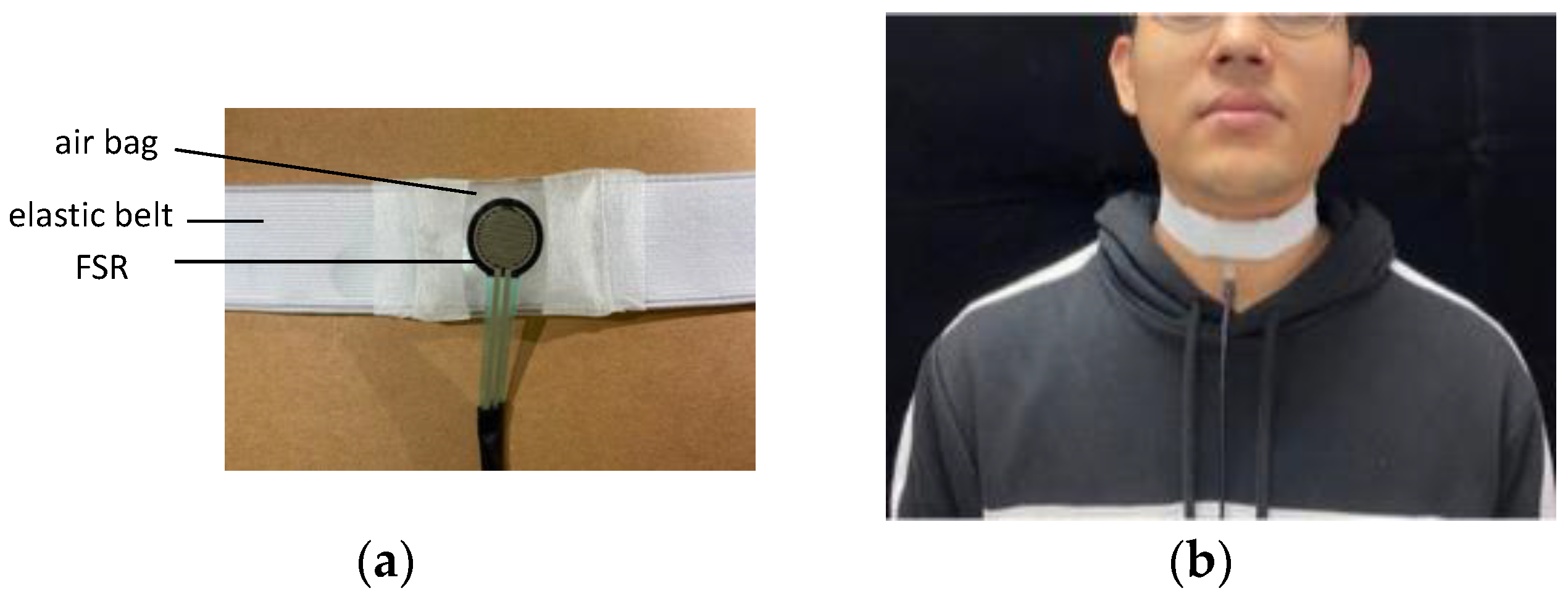 Bioengineering 11 00721 g004