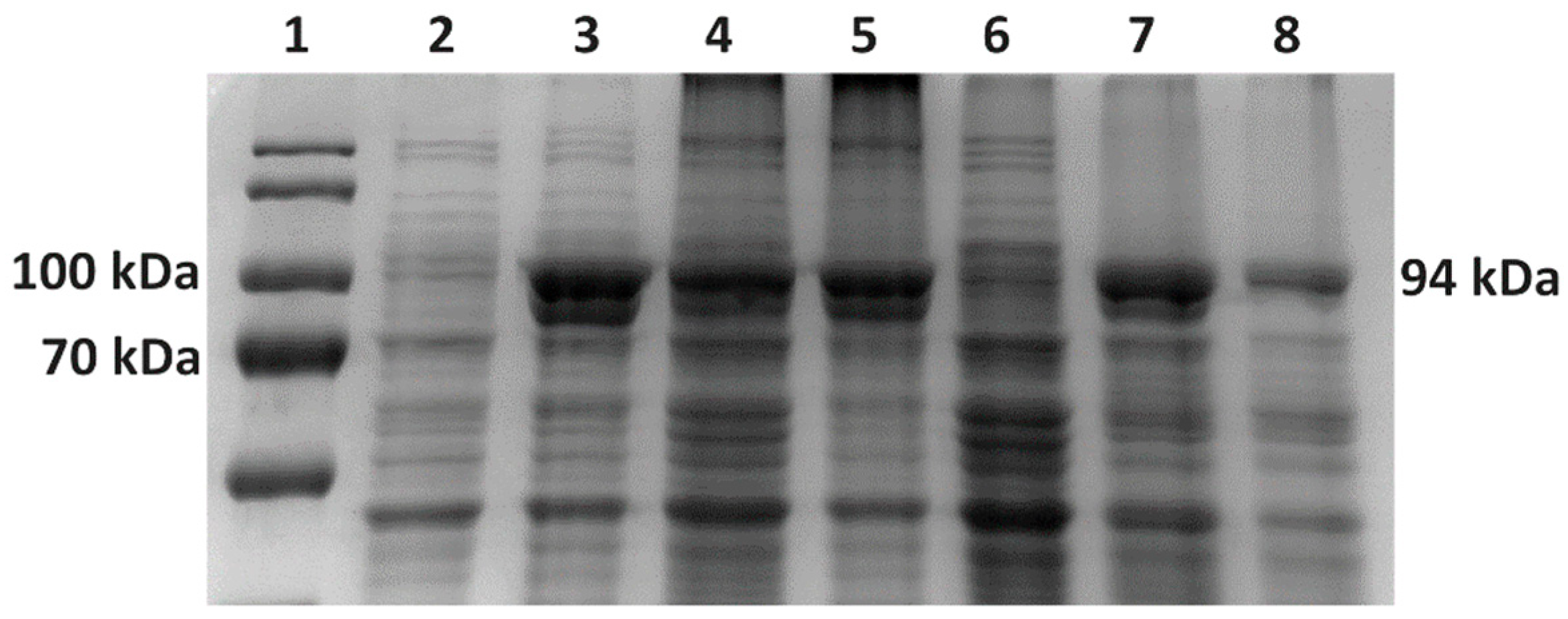 Bioengineering 11 00727 g010 Bioengineering 11 00727 g010
