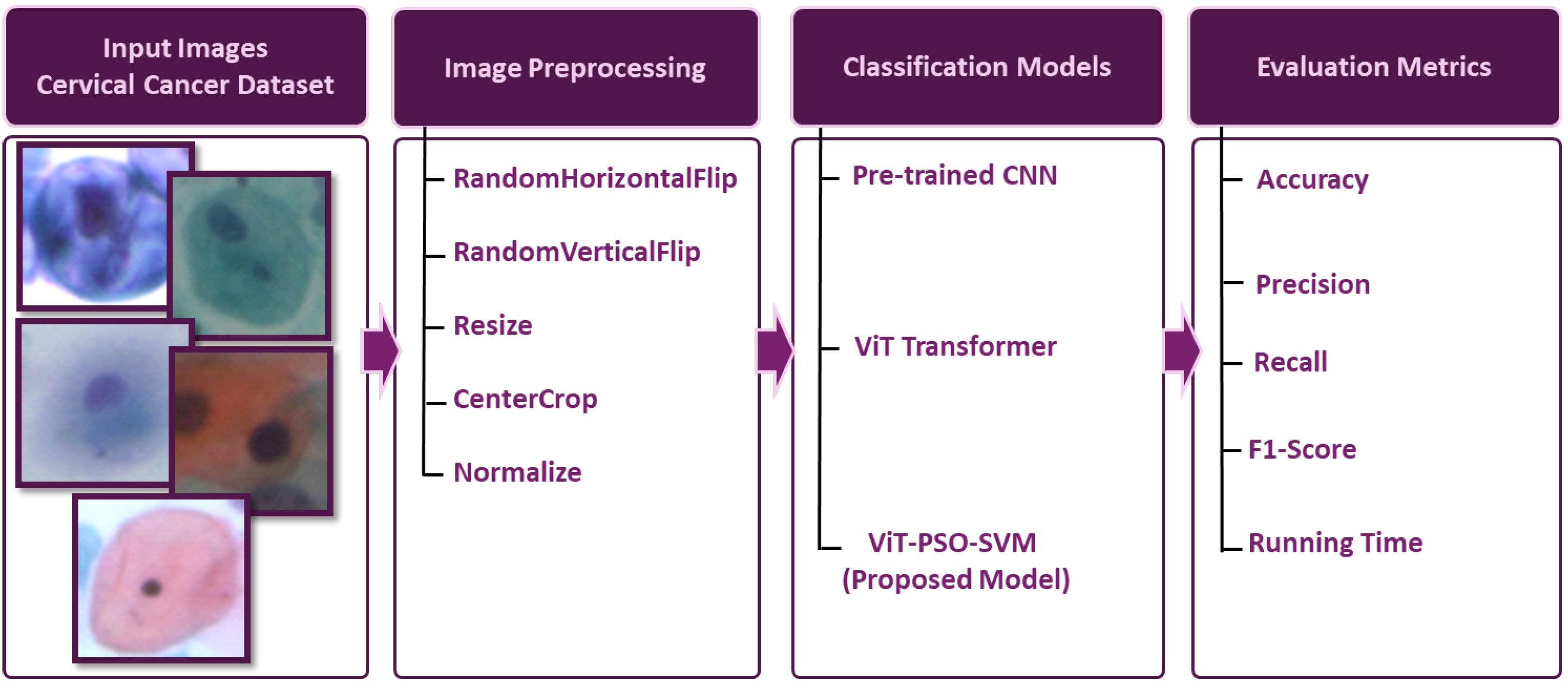 Bioengineering 11 00729 g001