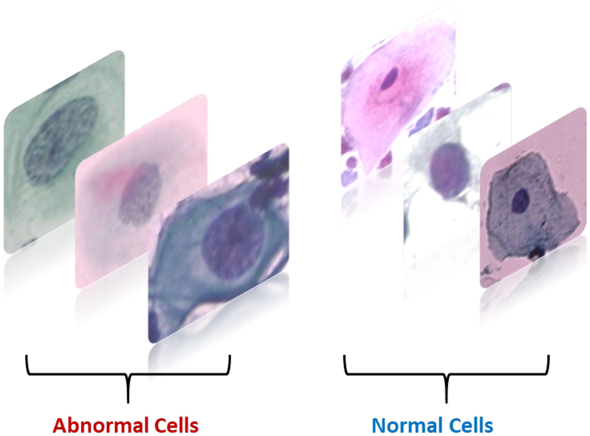 Bioengineering 11 00729 g003