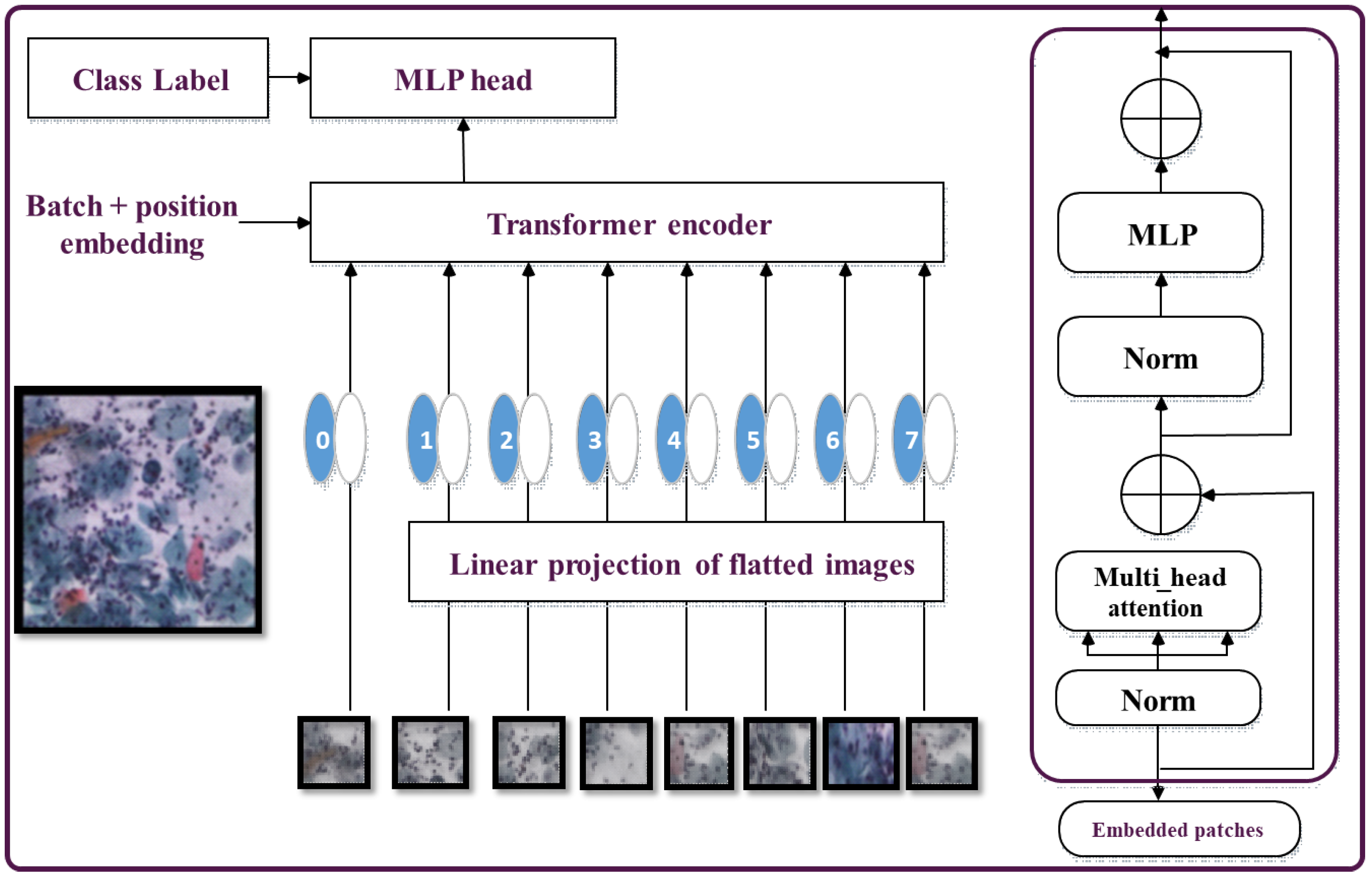 Bioengineering 11 00729 g004