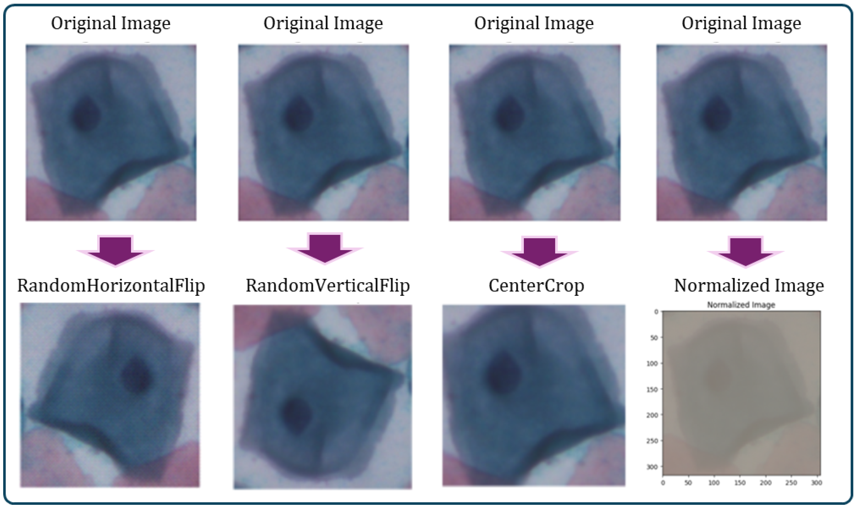 Bioengineering 11 00729 g006