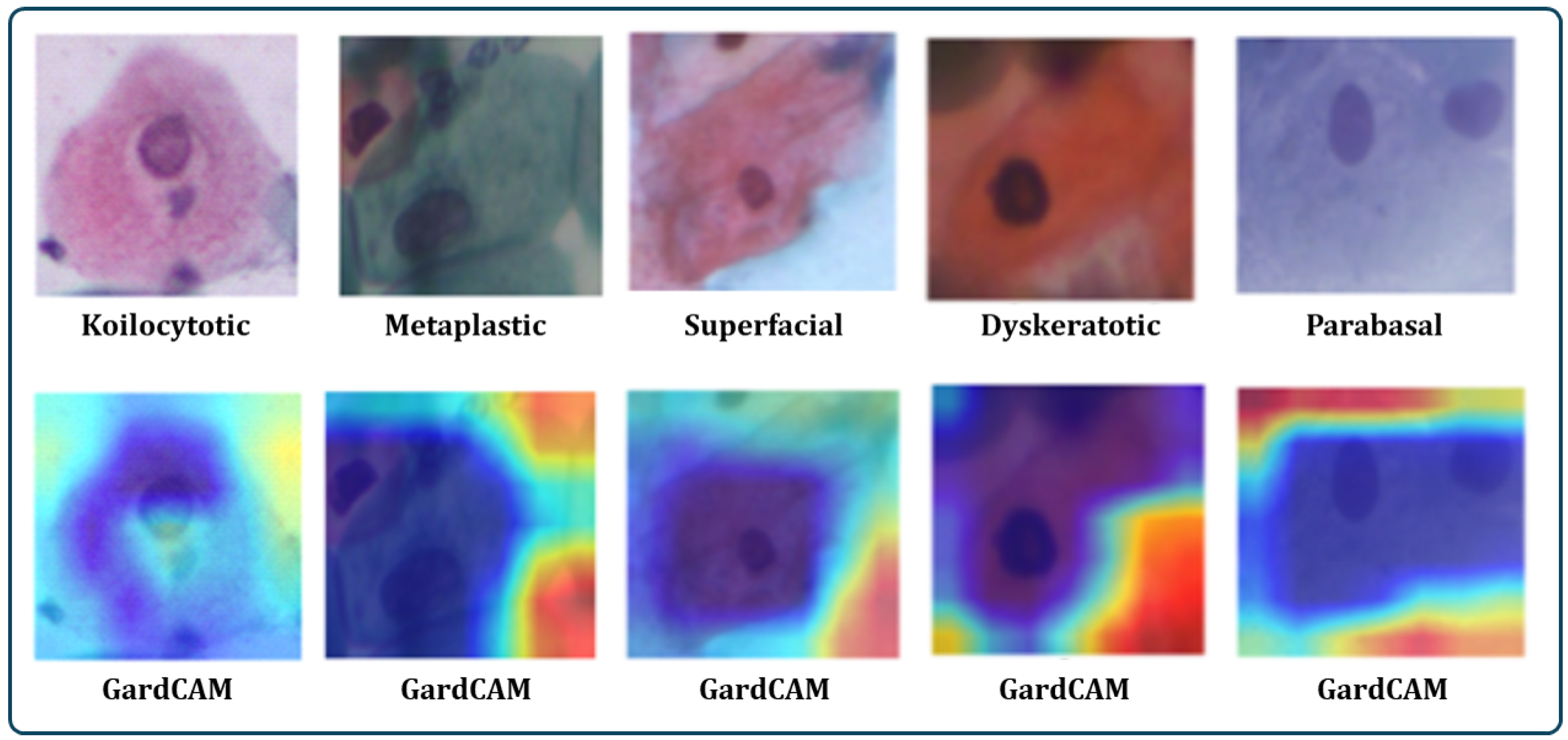Bioengineering 11 00729 g008