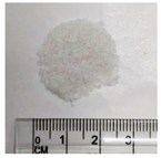 Bioengineering 11 00731 i004 Bioengineering 11 00731 i004