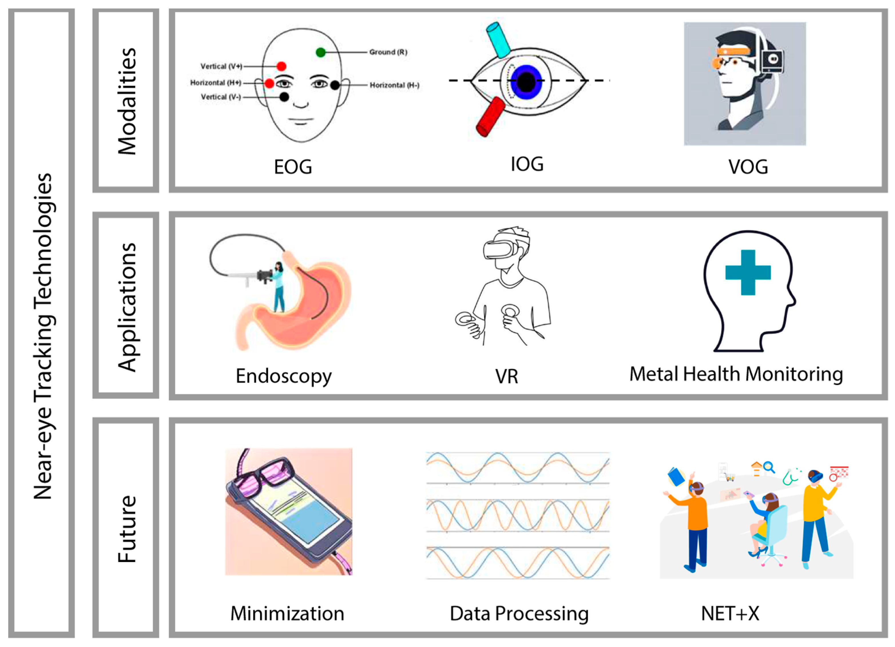 Bioengineering 11 00738 g001