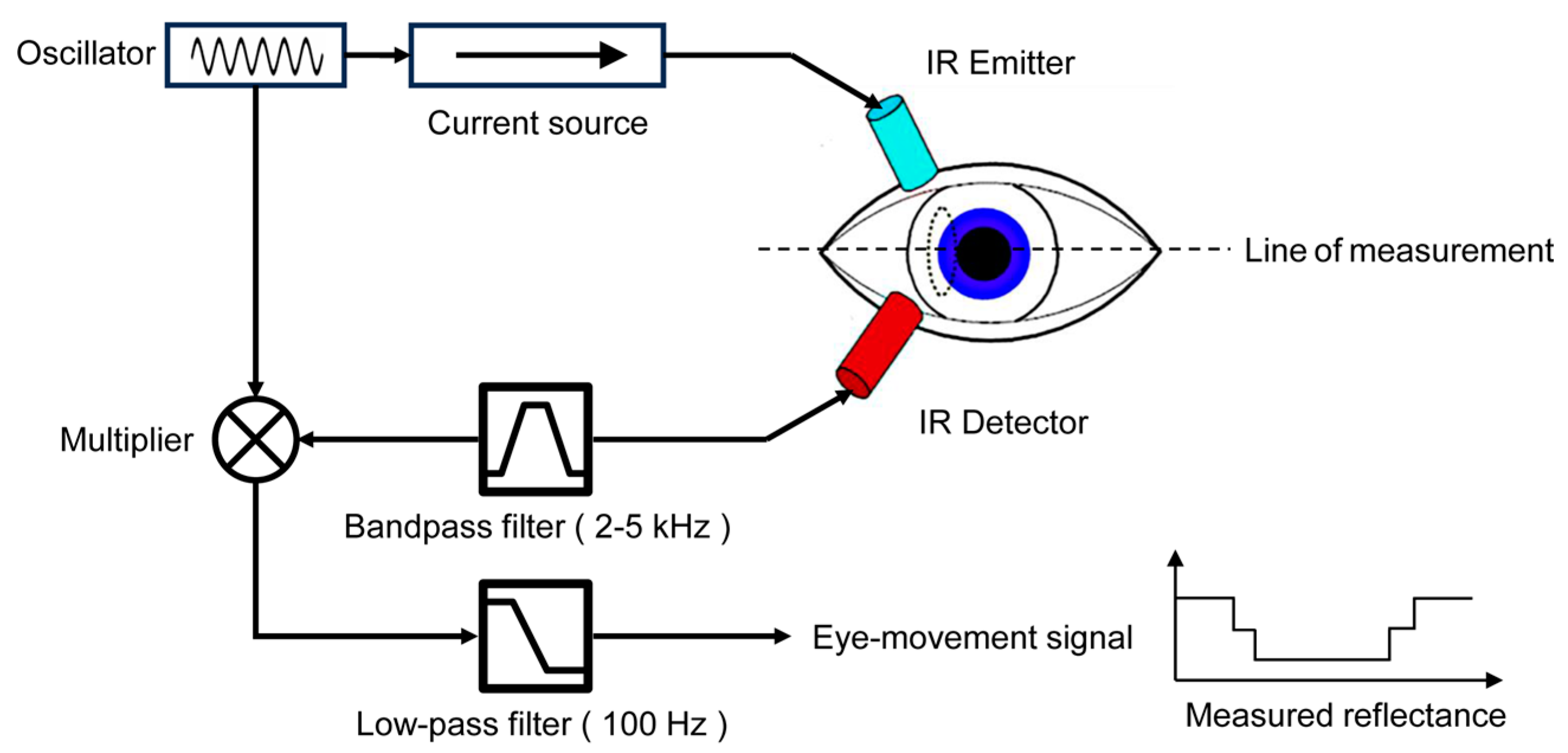 Bioengineering 11 00738 g006