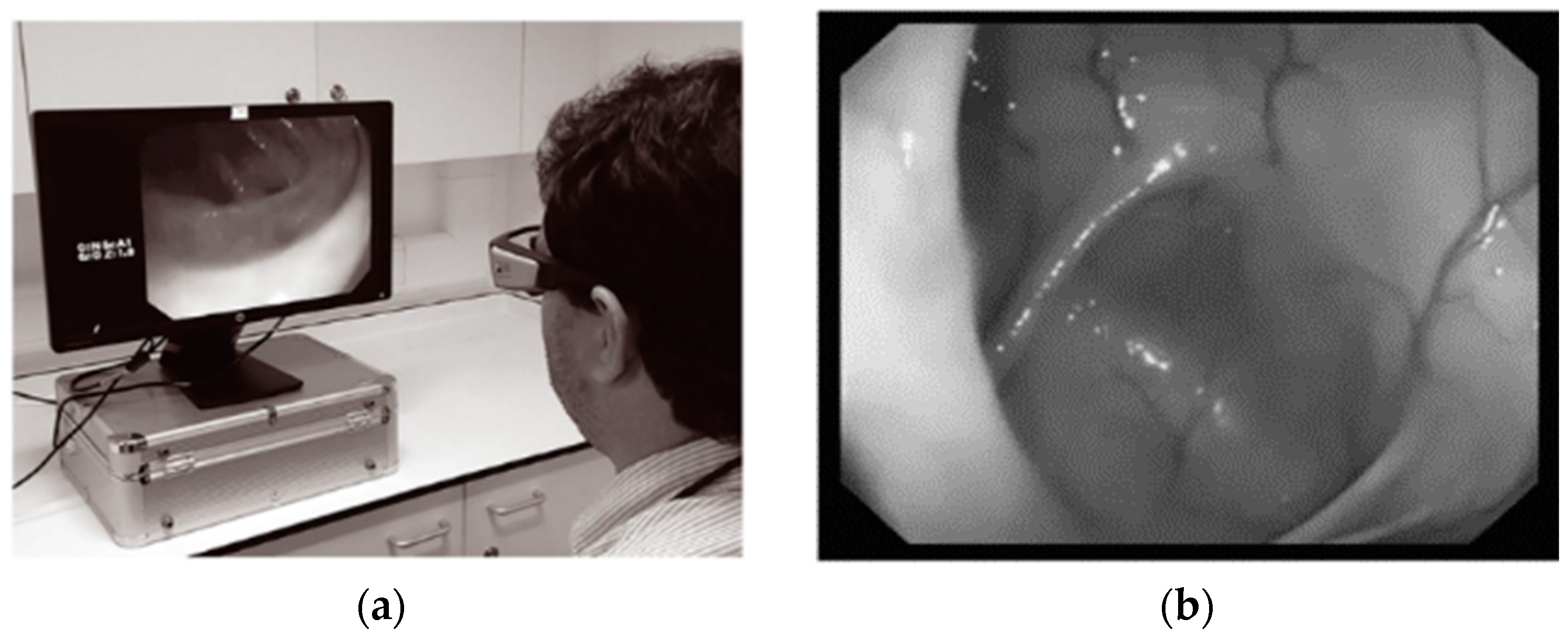 Bioengineering 11 00738 g008