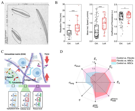 Bioengineering 11 00747 g003
