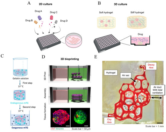 Bioengineering 11 00747 g007
