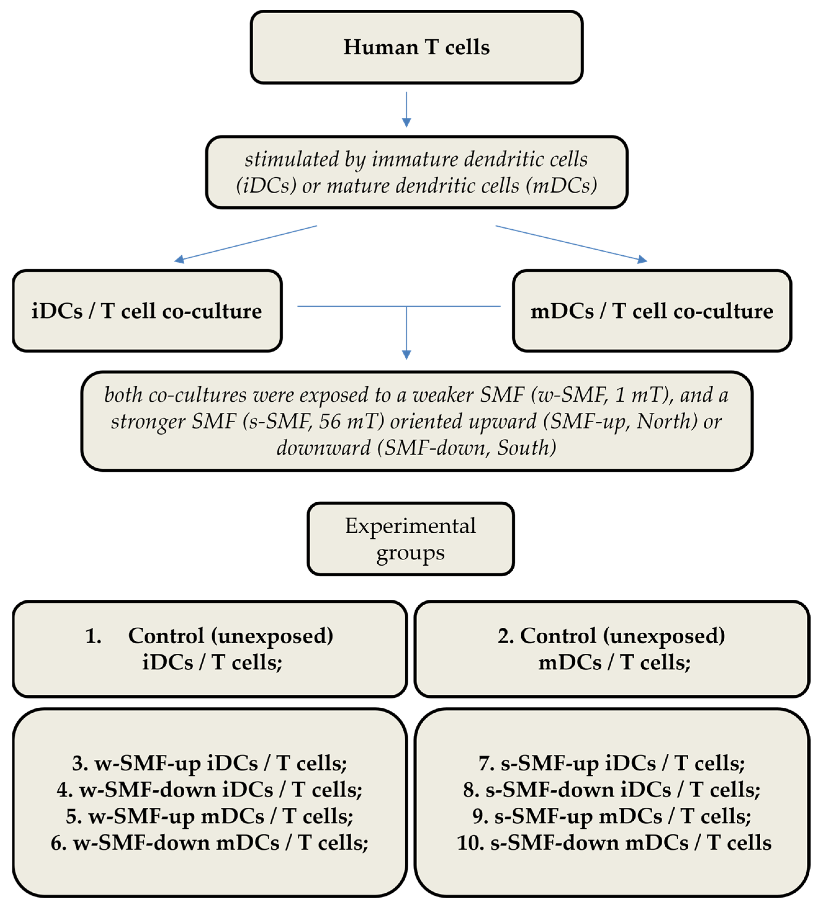 Bioengineering 11 00749 g001