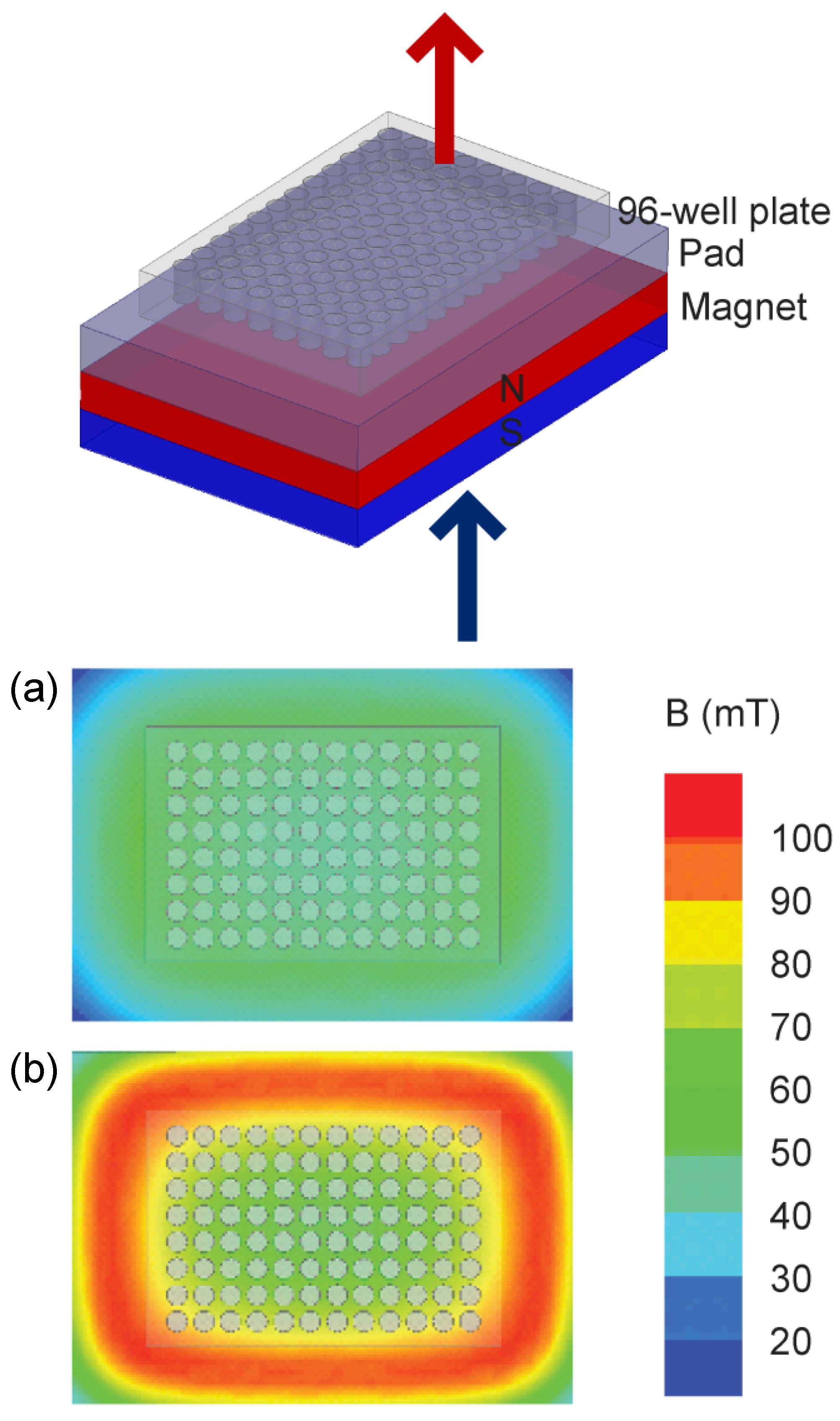 Bioengineering 11 00749 g002