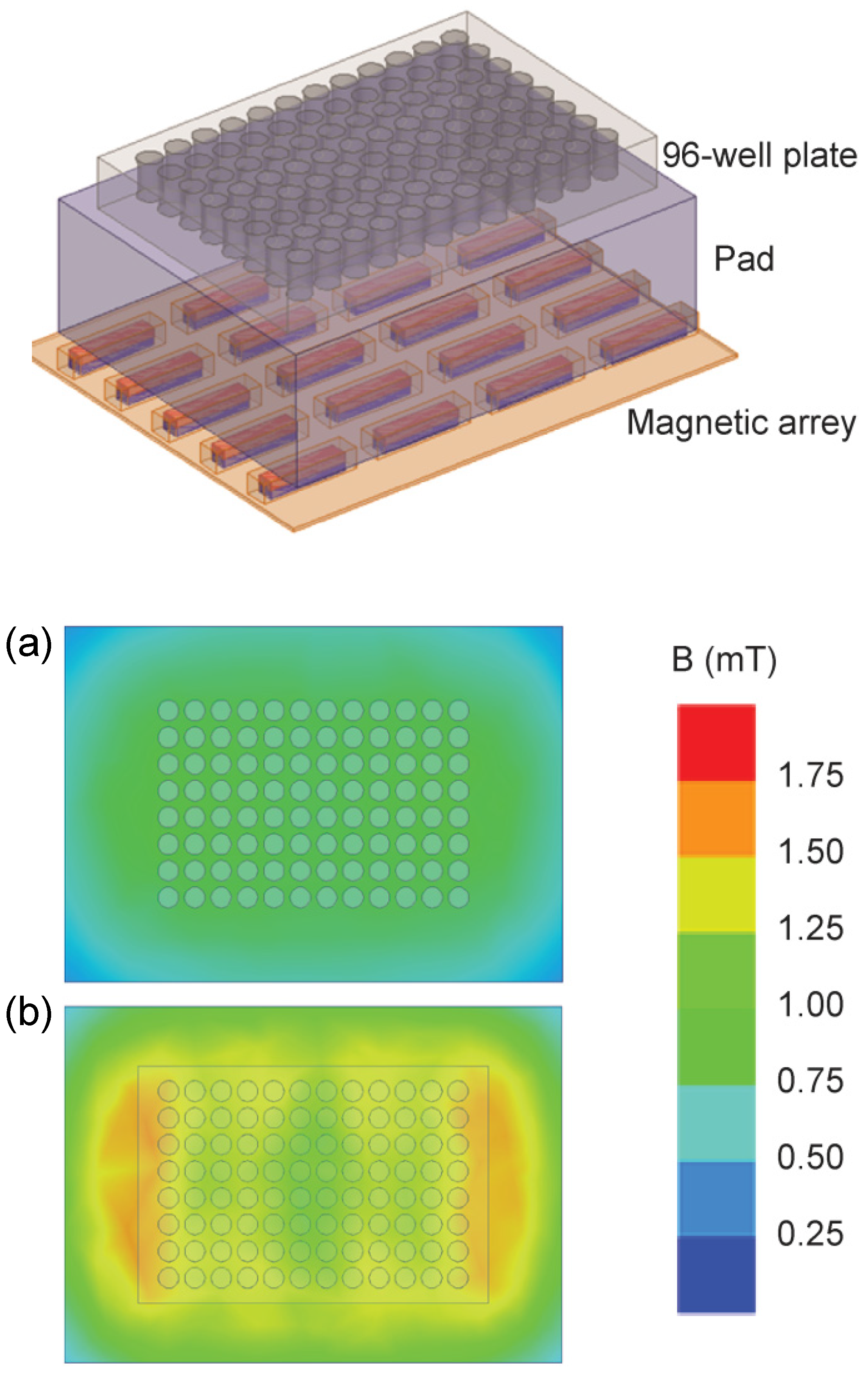 Bioengineering 11 00749 g003