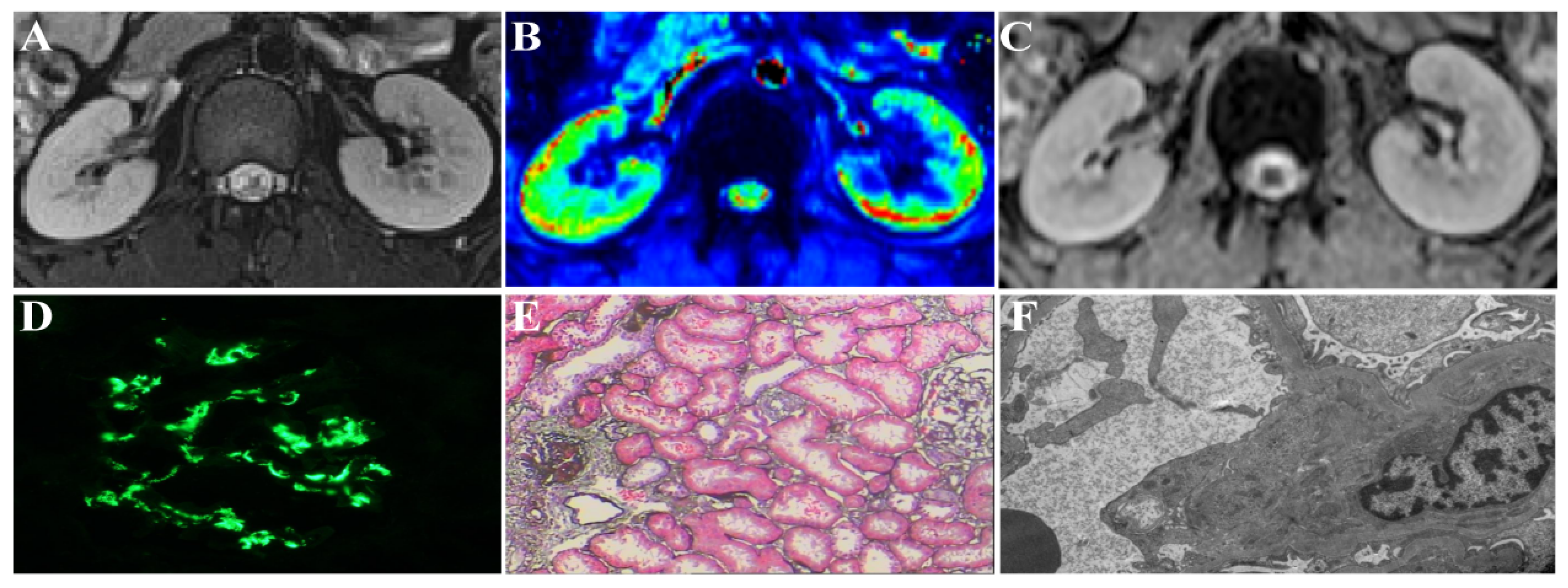 Bioengineering 11 00750 g001