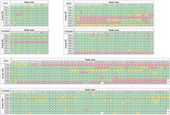 Bioengineering 11 00755 g0a1