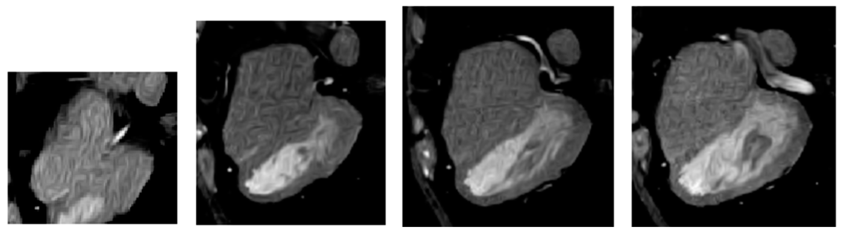 Bioengineering 11 00759 g005