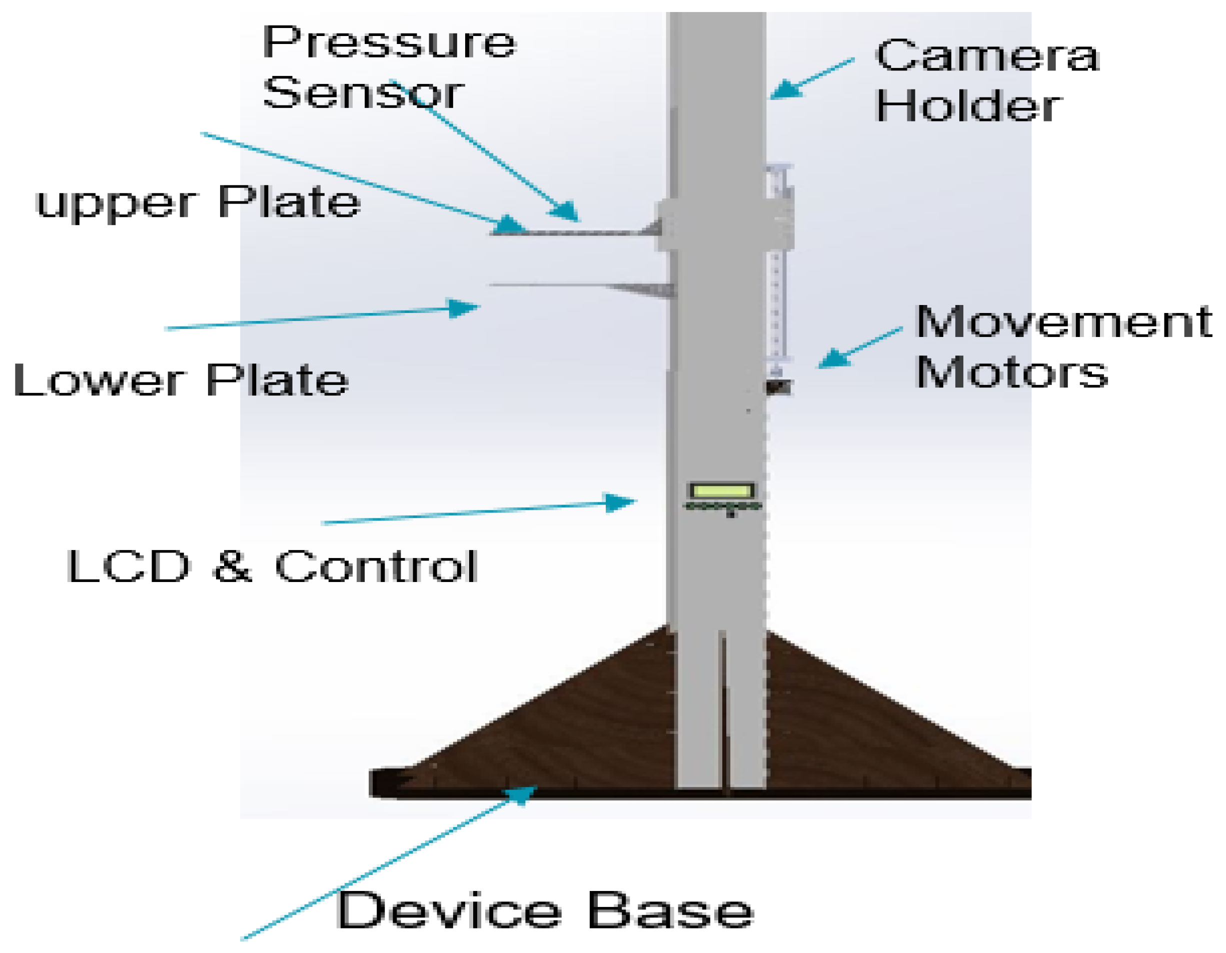 Bioengineering 11 00764 g002