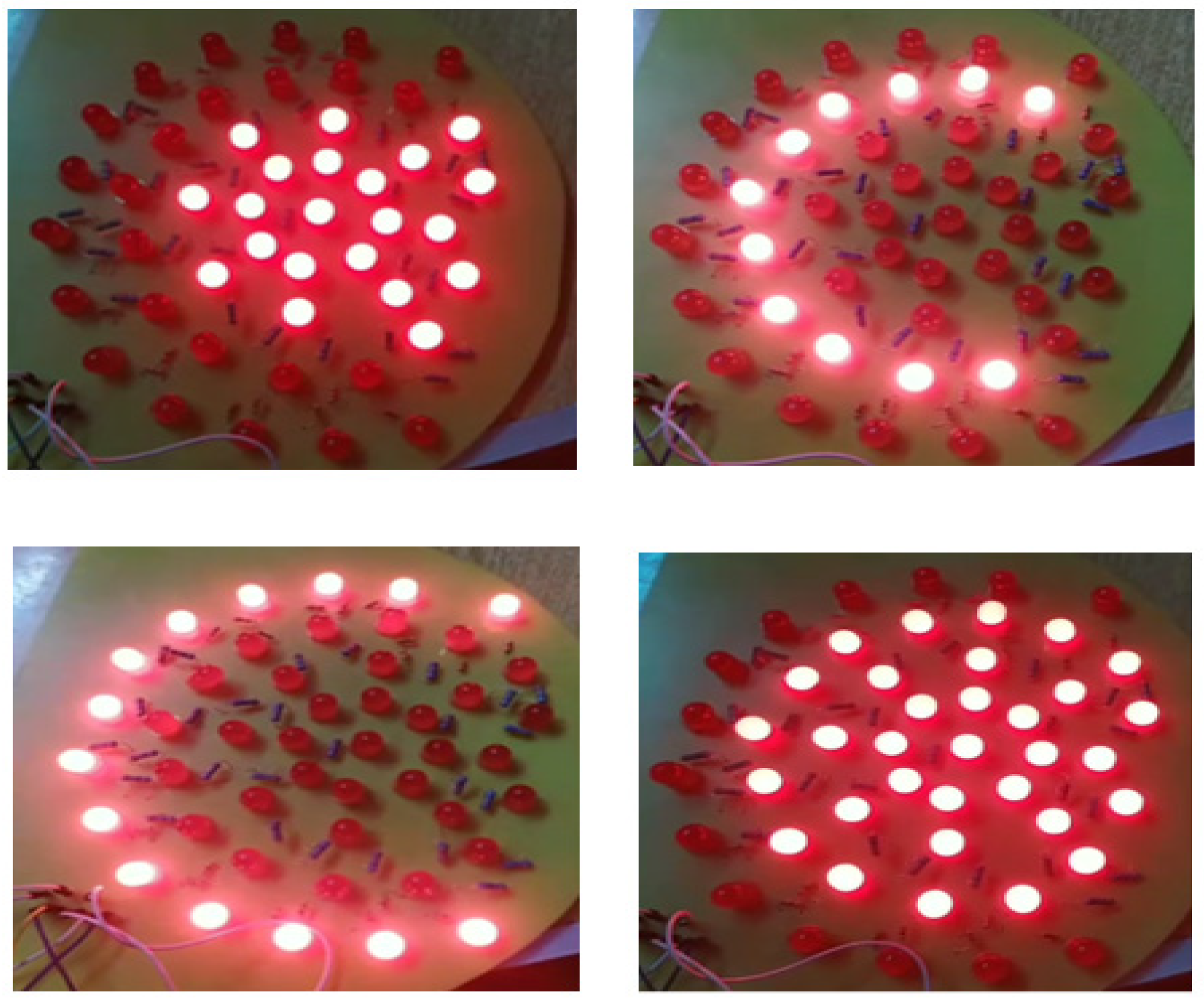 Bioengineering 11 00764 g005