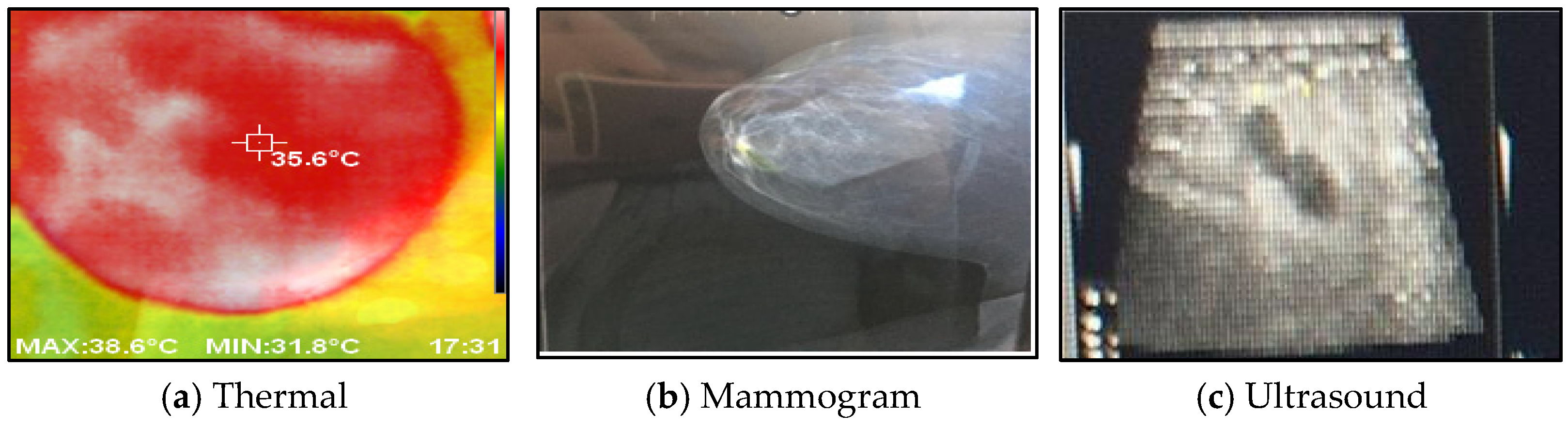 Bioengineering 11 00764 g008