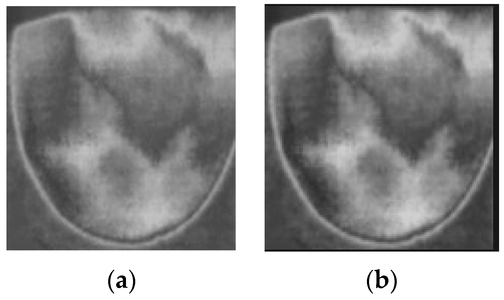 Bioengineering 11 00764 g010