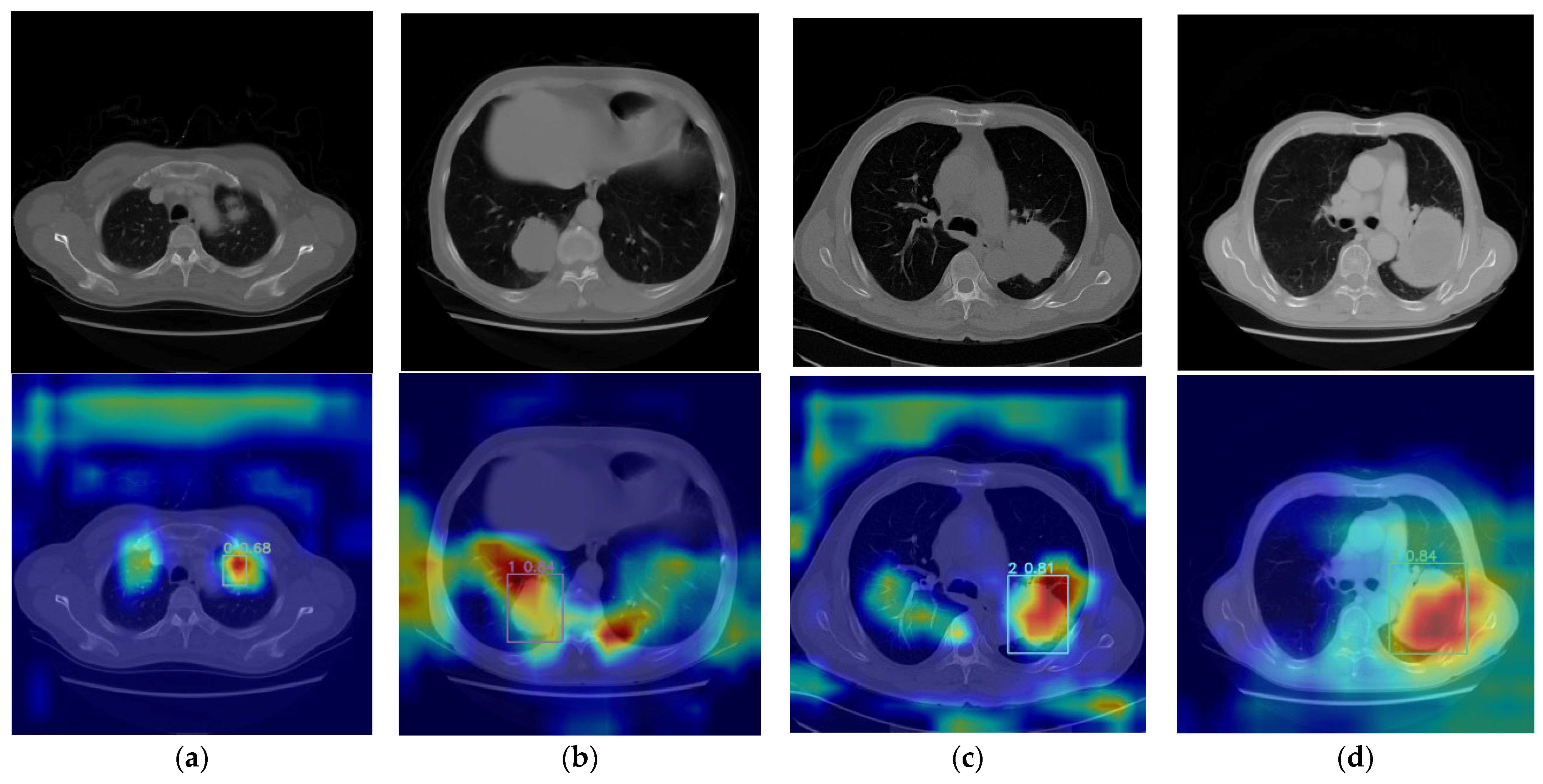 Bioengineering 11 00767 g007