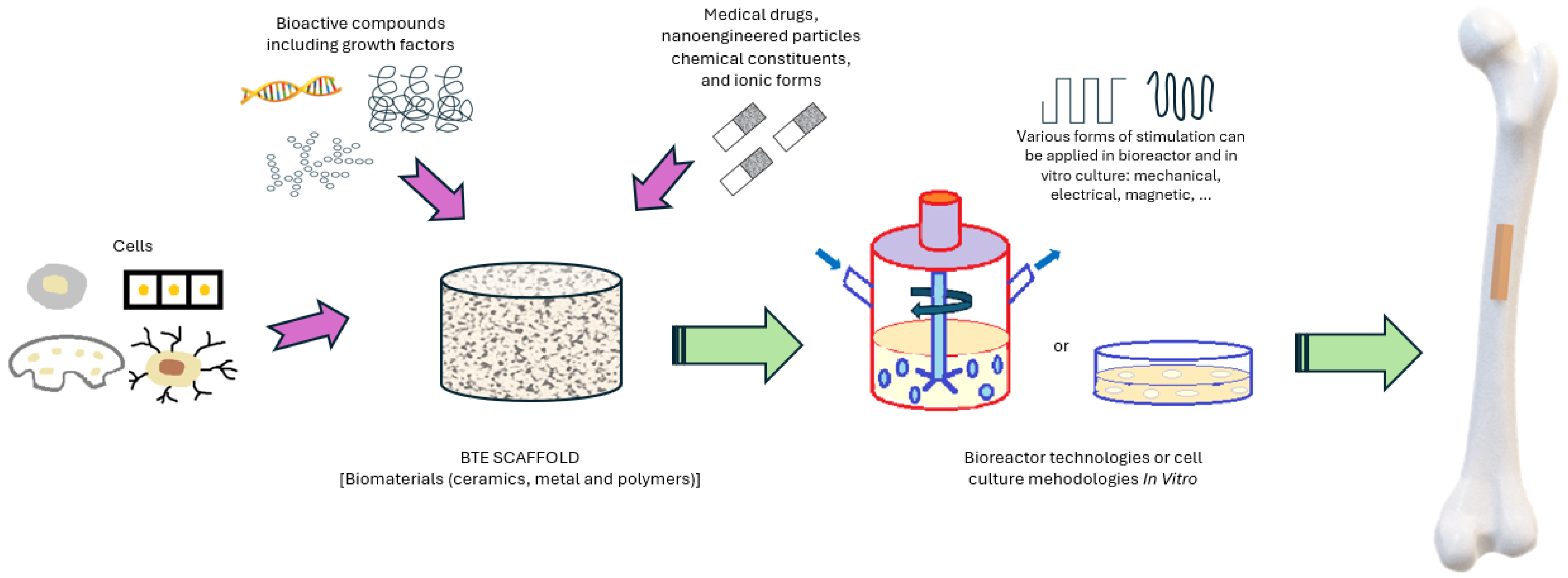 Bioengineering 11 00769 g001
