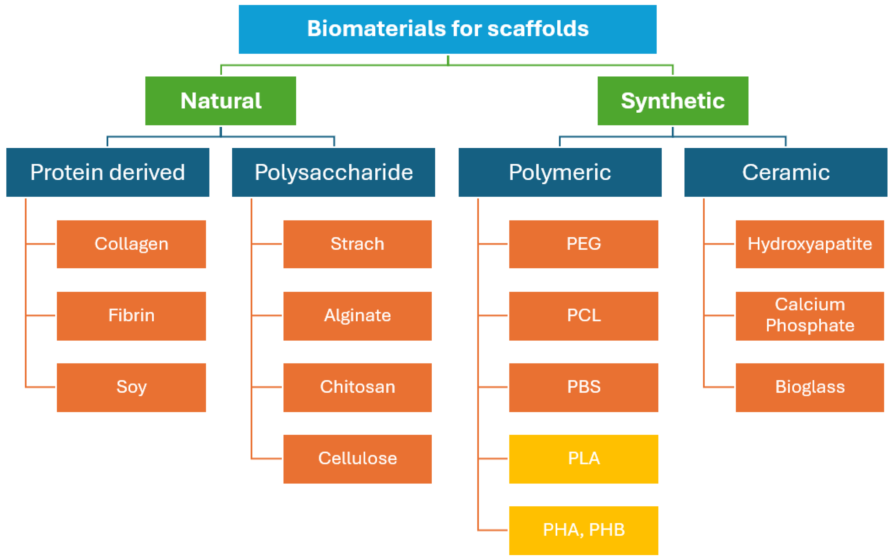 Bioengineering 11 00769 g003