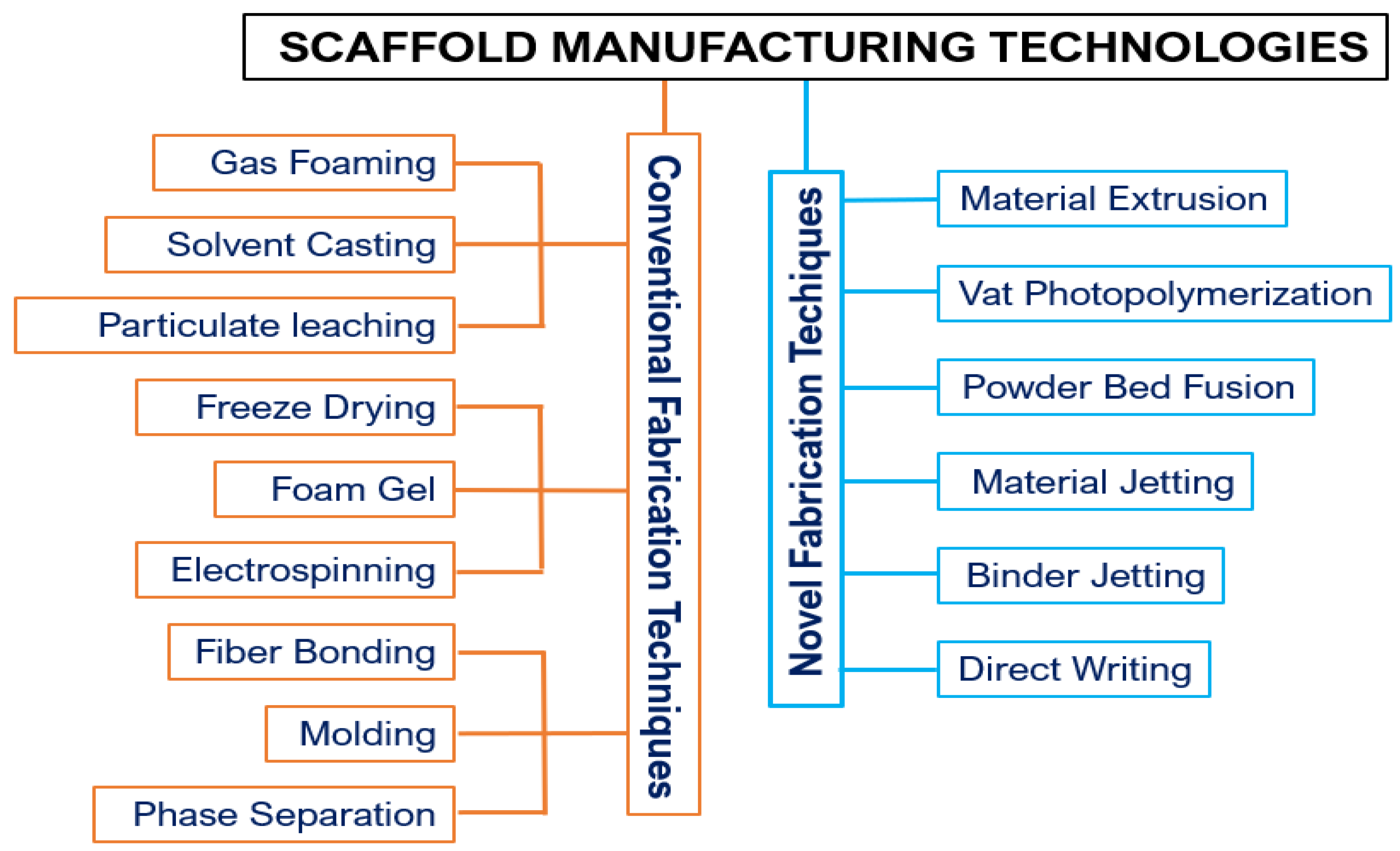 Bioengineering 11 00769 g004