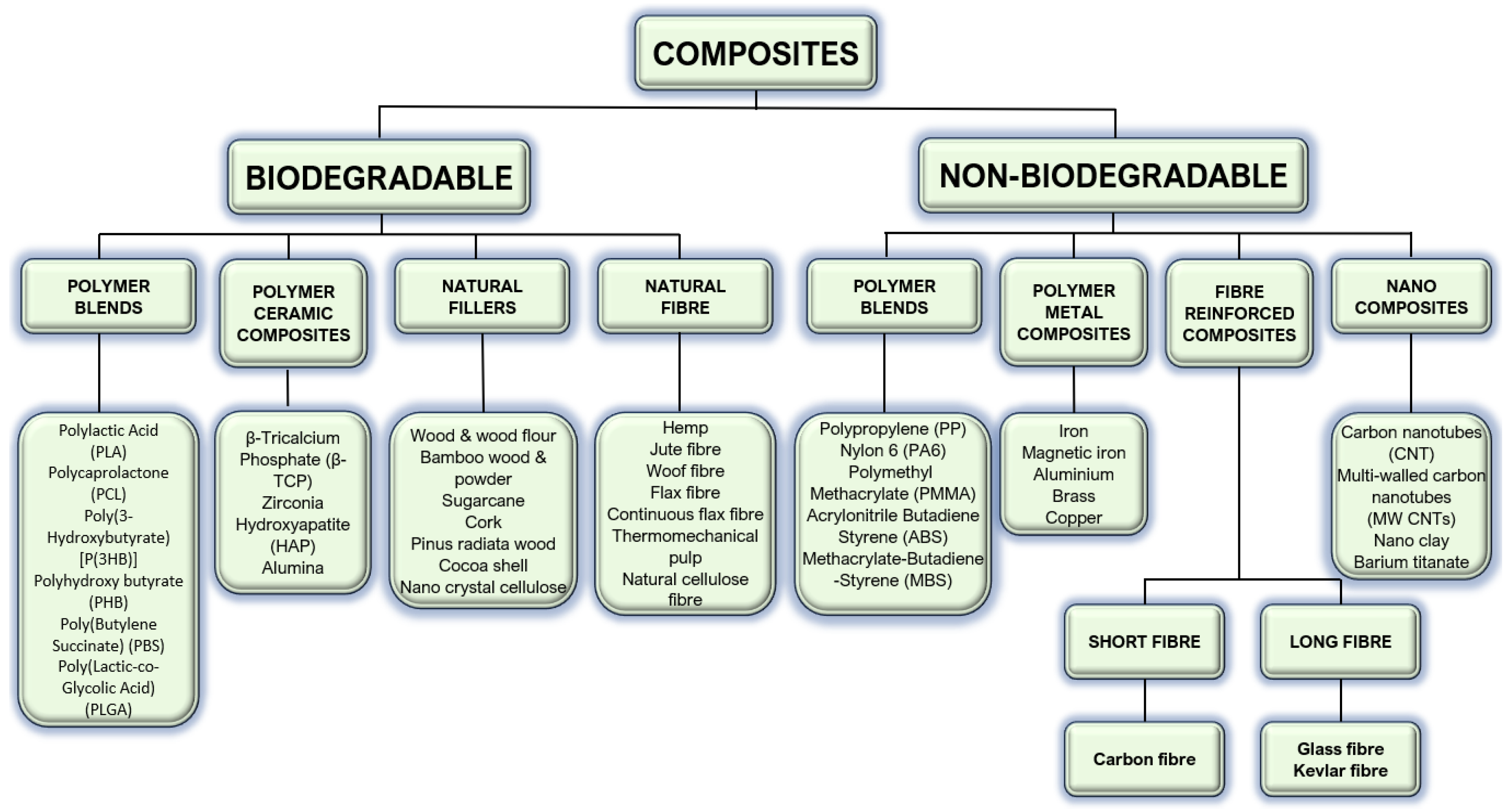 Bioengineering 11 00769 g011