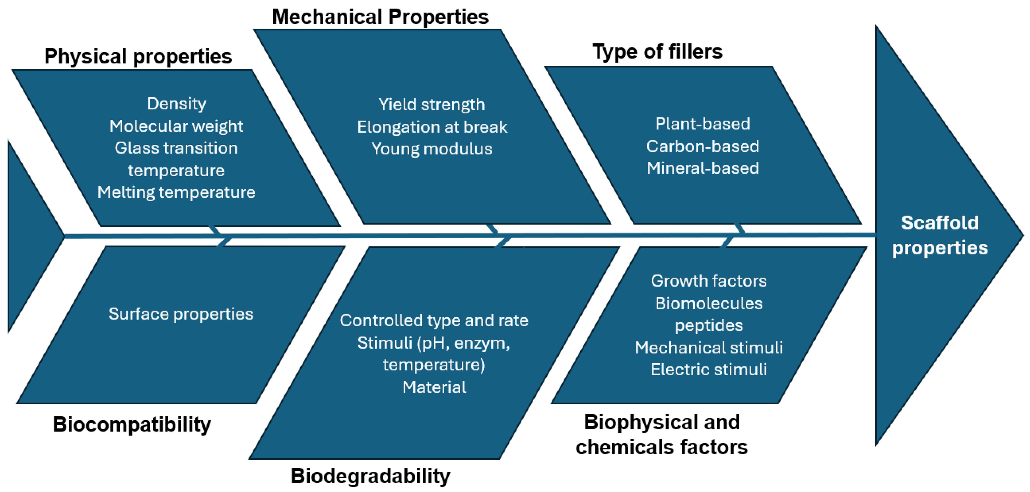 Bioengineering 11 00769 g012