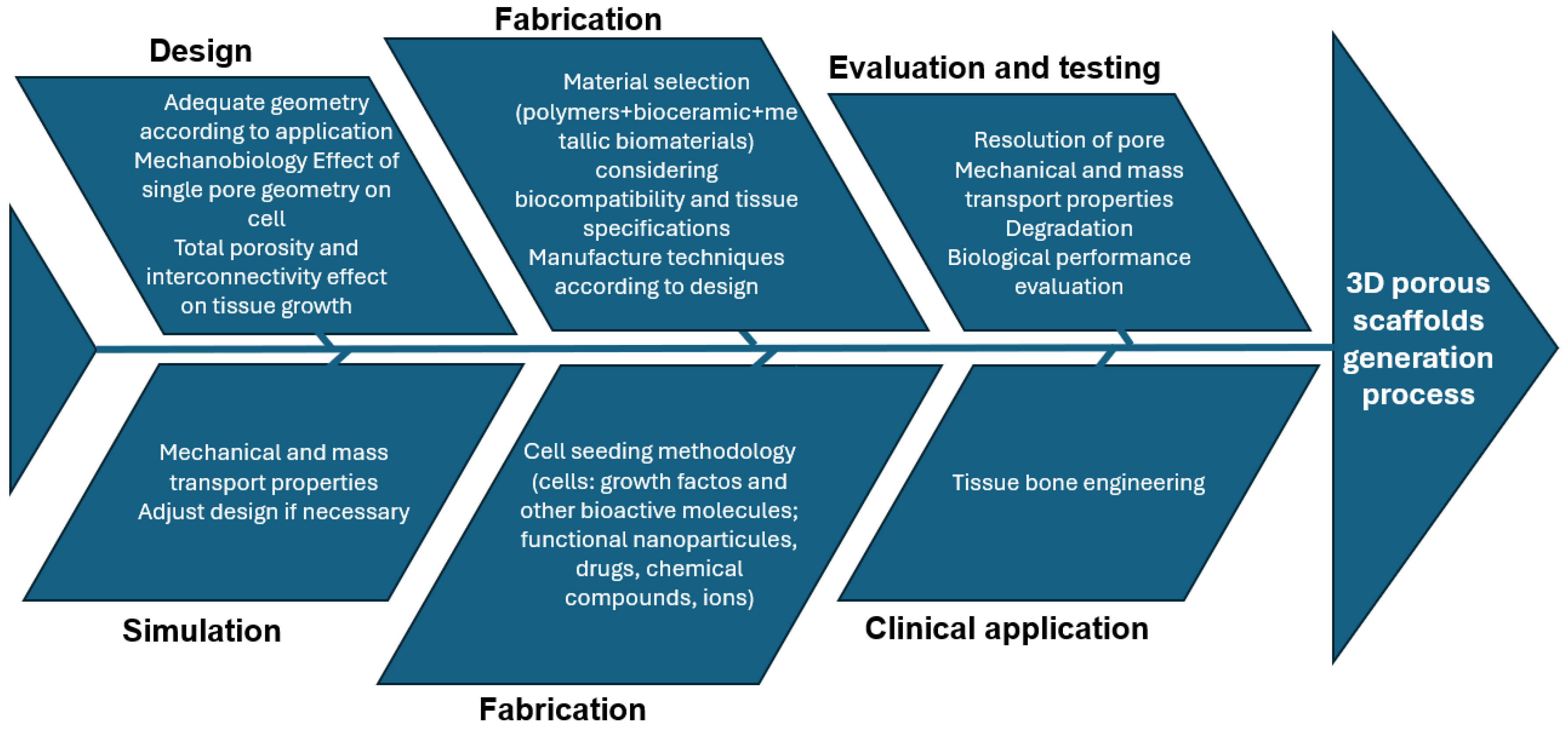 Bioengineering 11 00769 g013