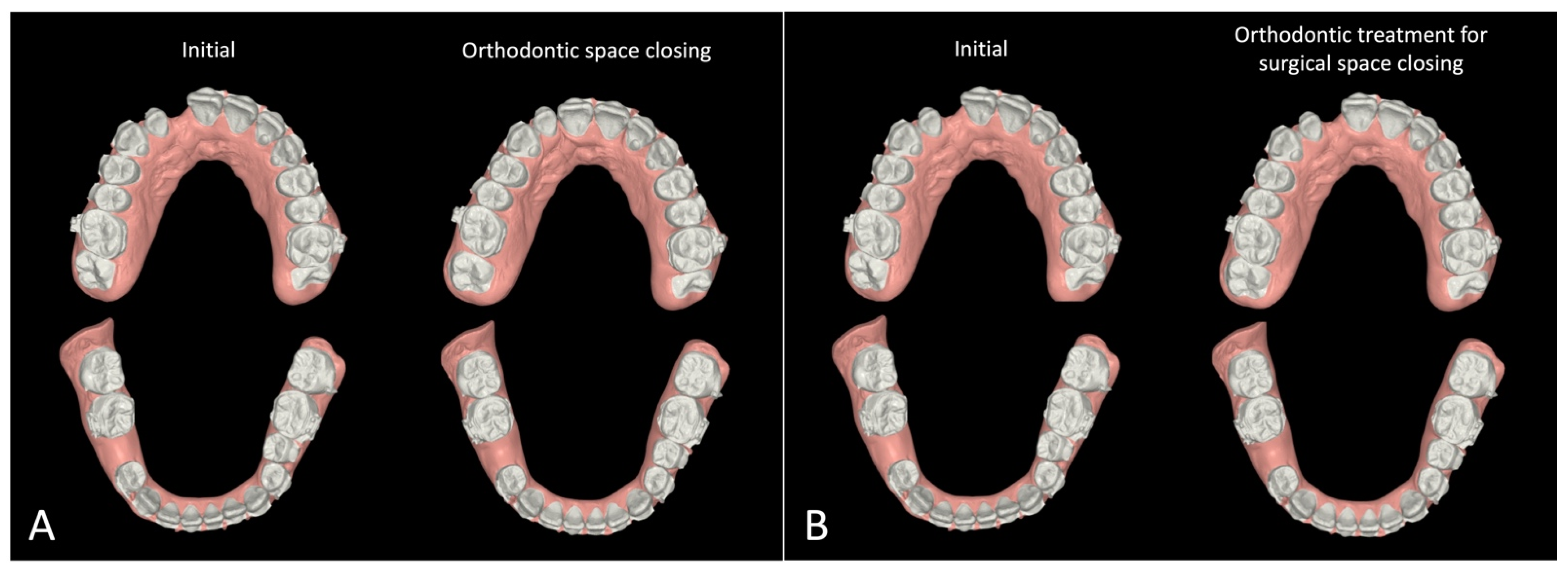 Bioengineering 11 00771 g002