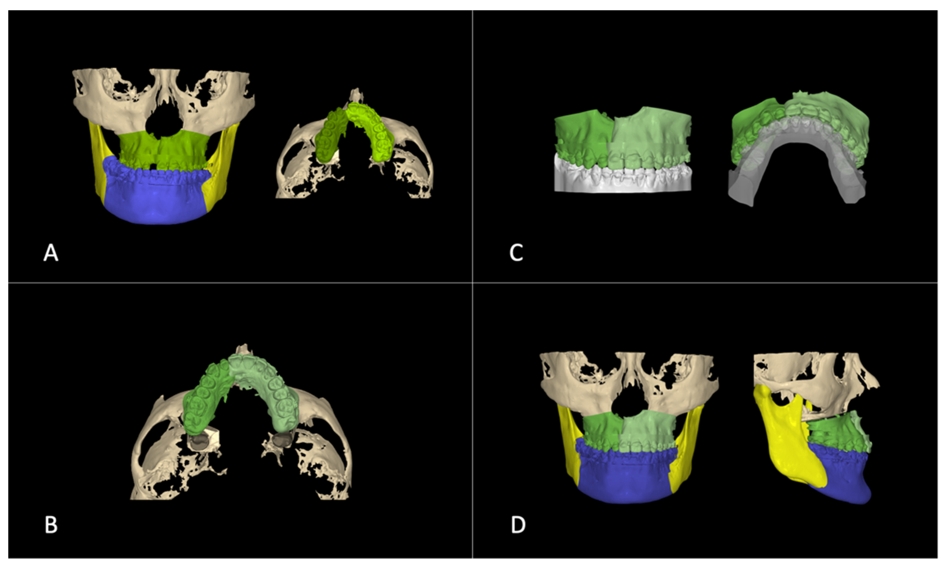Bioengineering 11 00771 g005