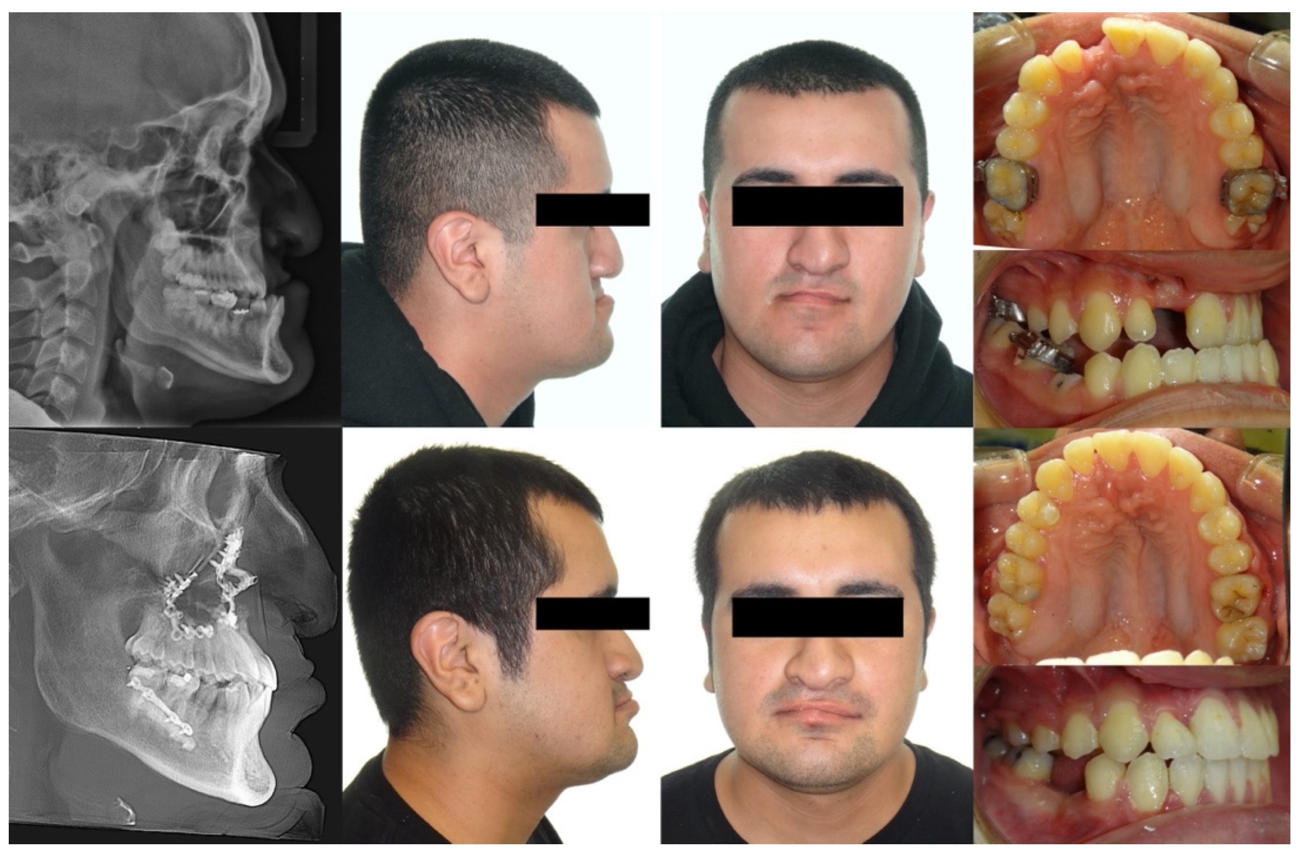 Bioengineering 11 00771 g009
