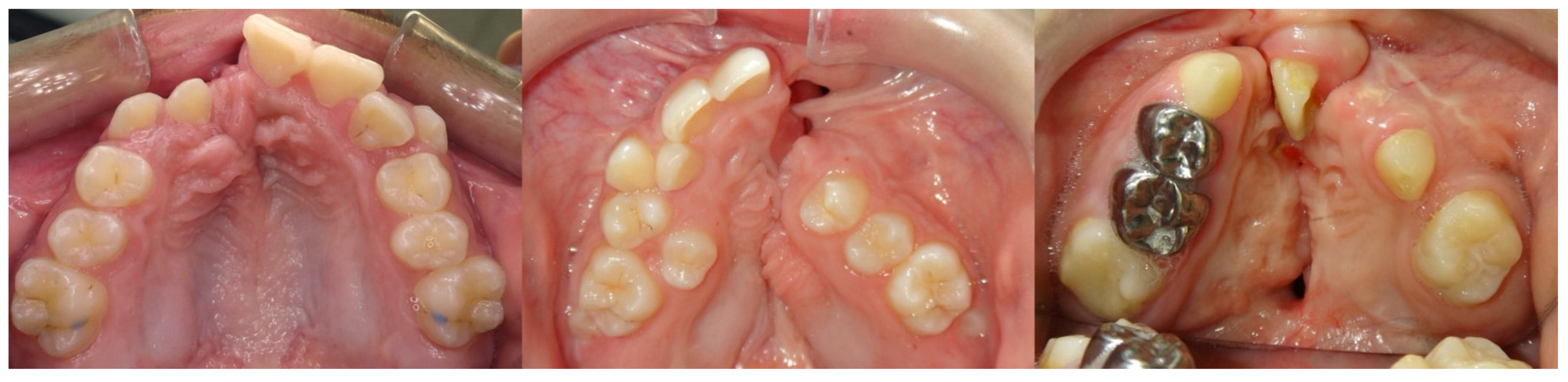 Bioengineering 11 00771 g010