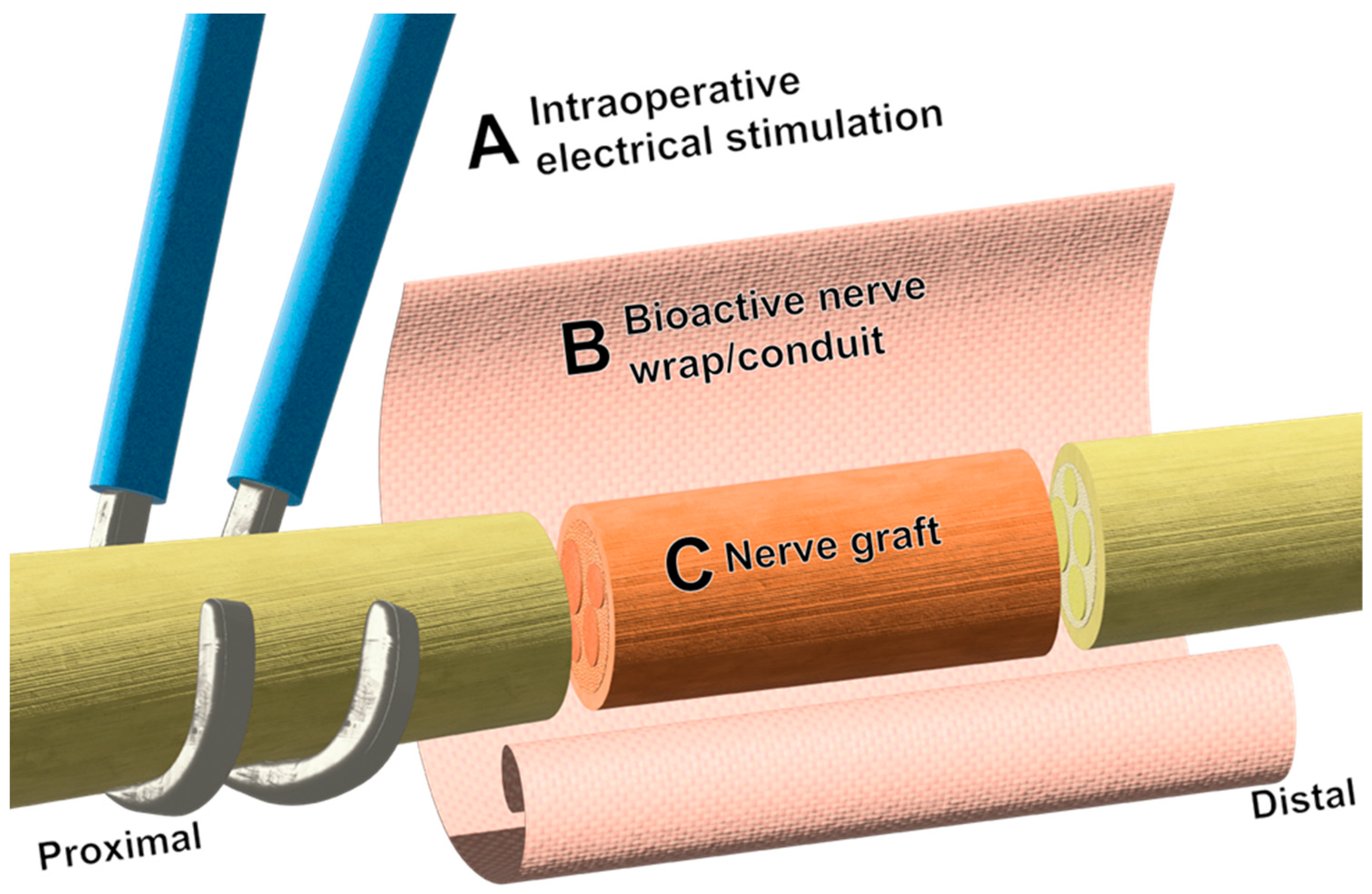 Bioengineering 11 00776 g002 Bioengineering 11 00776 g002