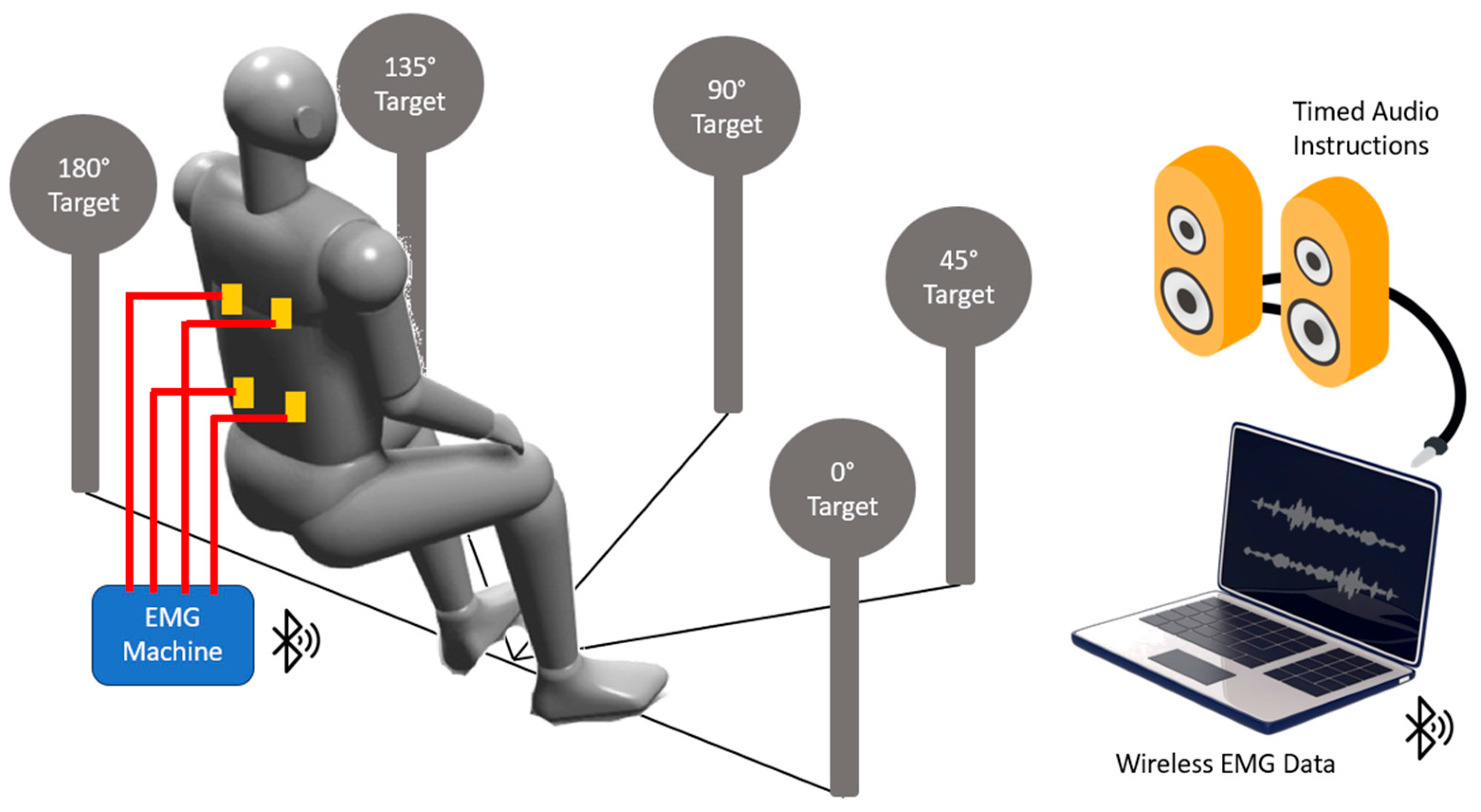 Bioengineering 11 00780 g003