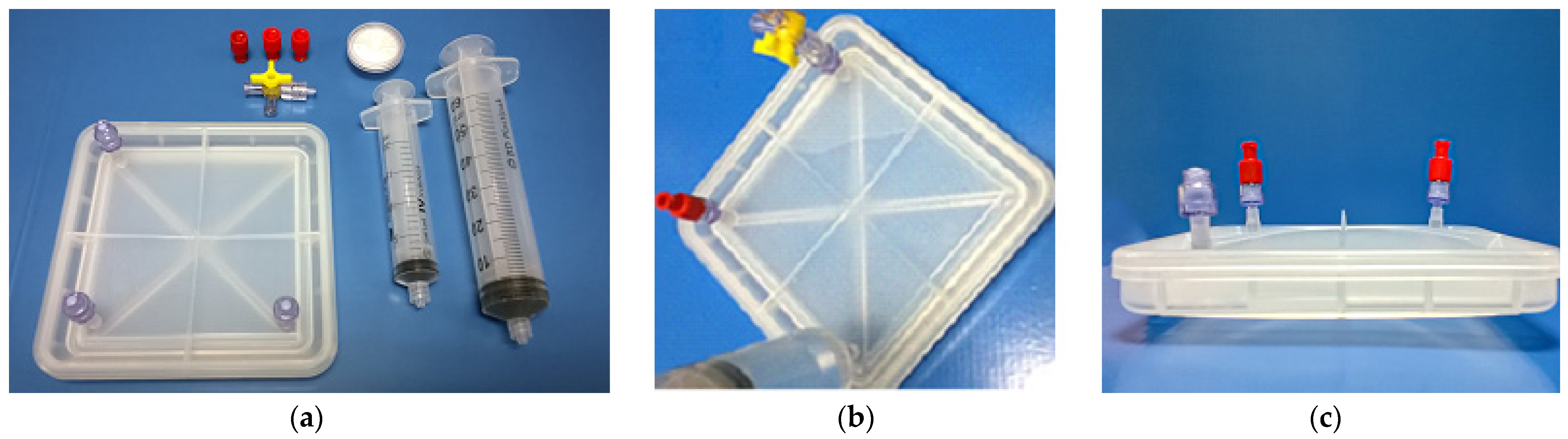 Bioengineering 11 00785 g005