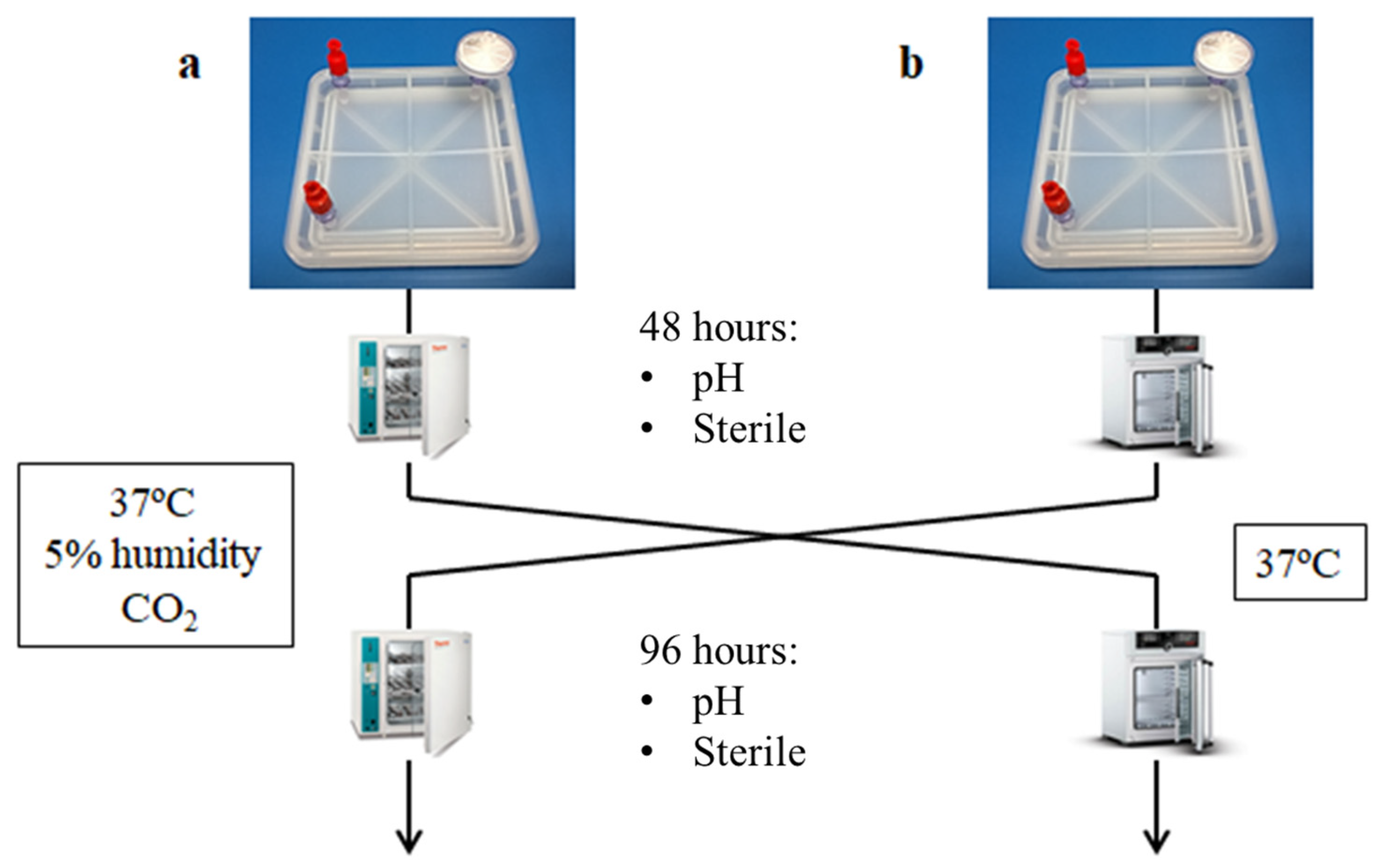 Bioengineering 11 00785 g007