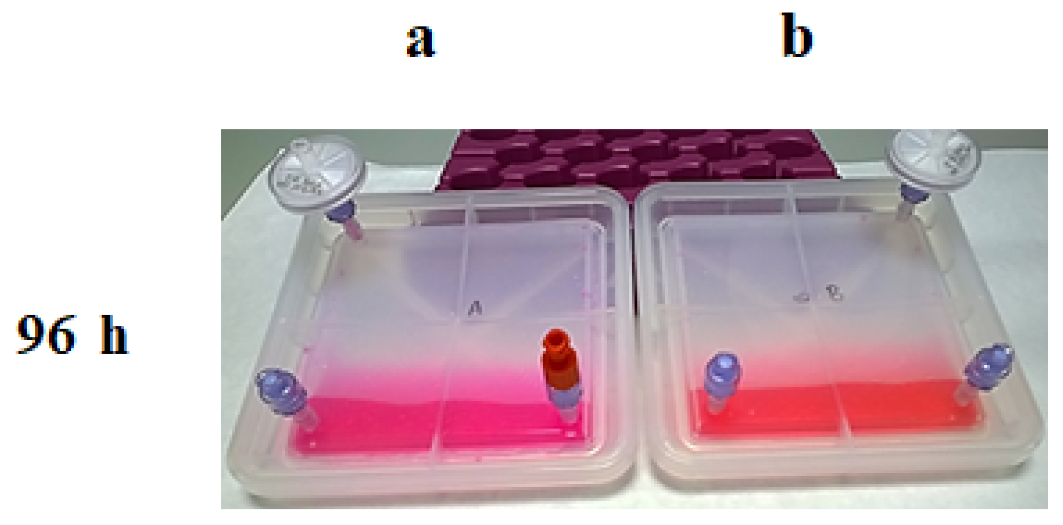 Bioengineering 11 00785 g008