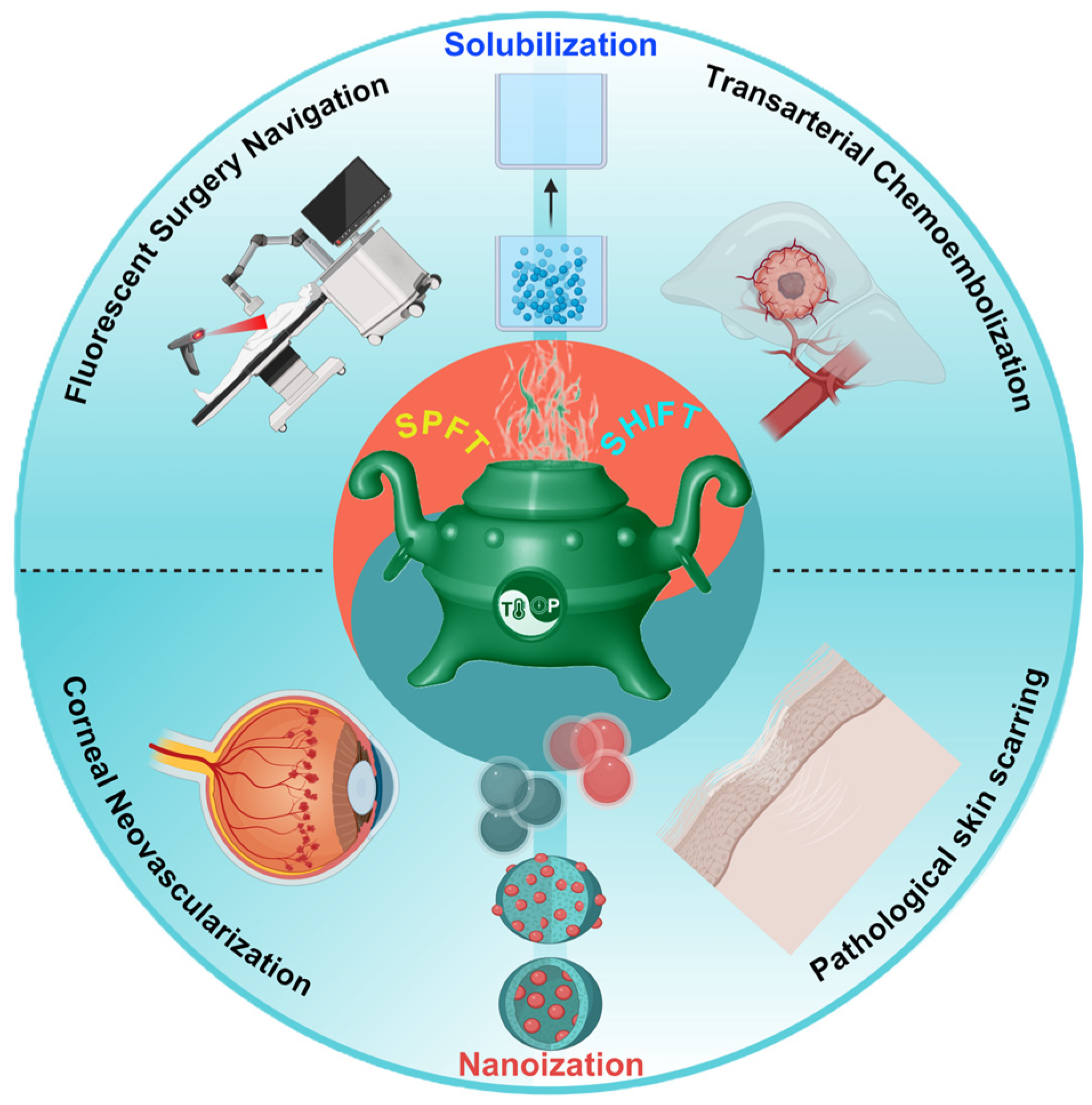 Bioengineering 11 00788 g001