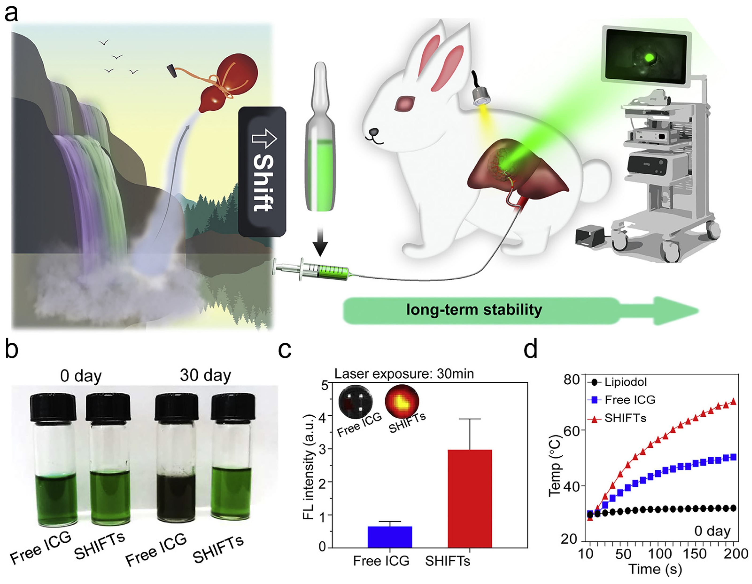 Bioengineering 11 00788 g002