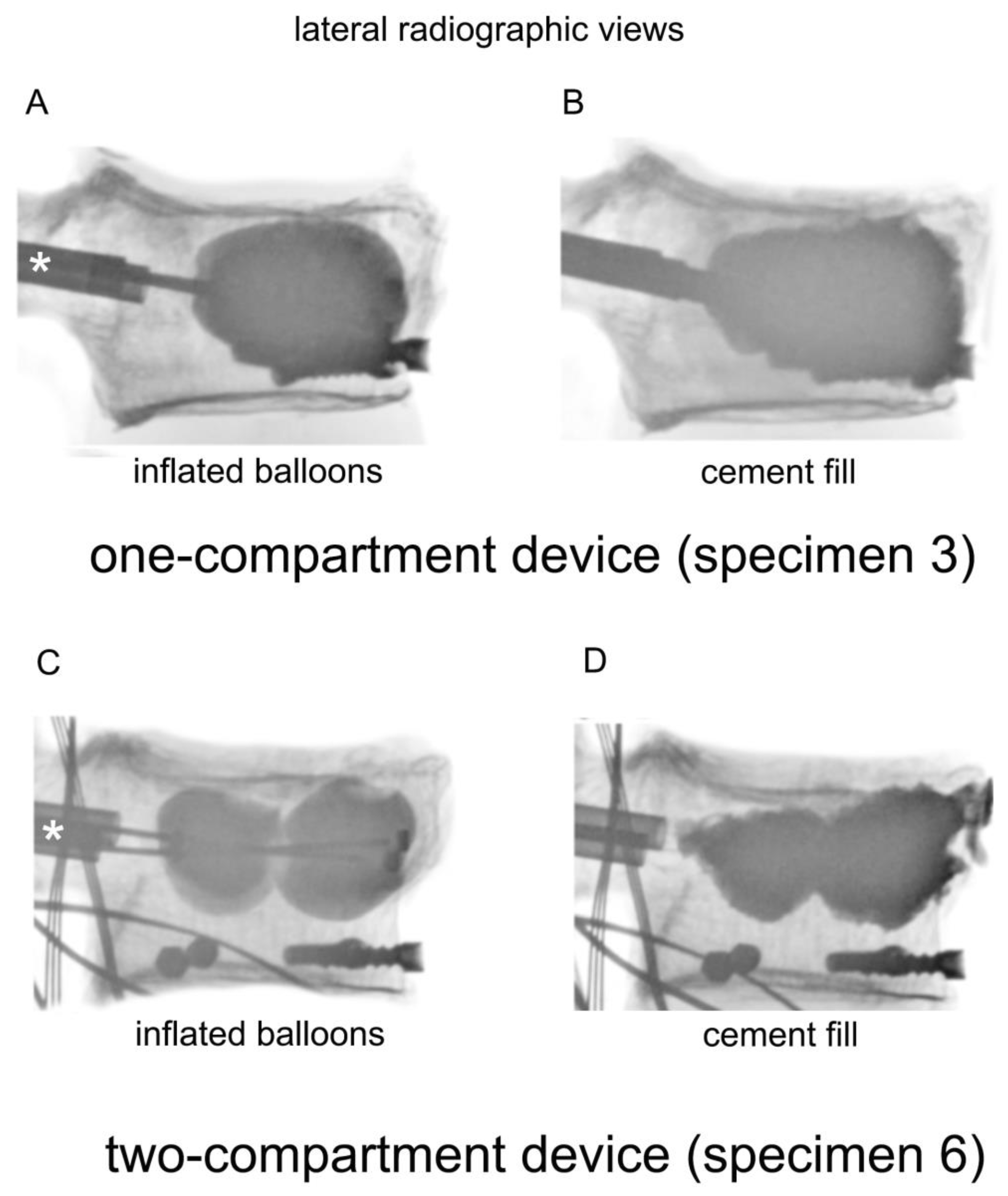 Bioengineering 11 00795 g002